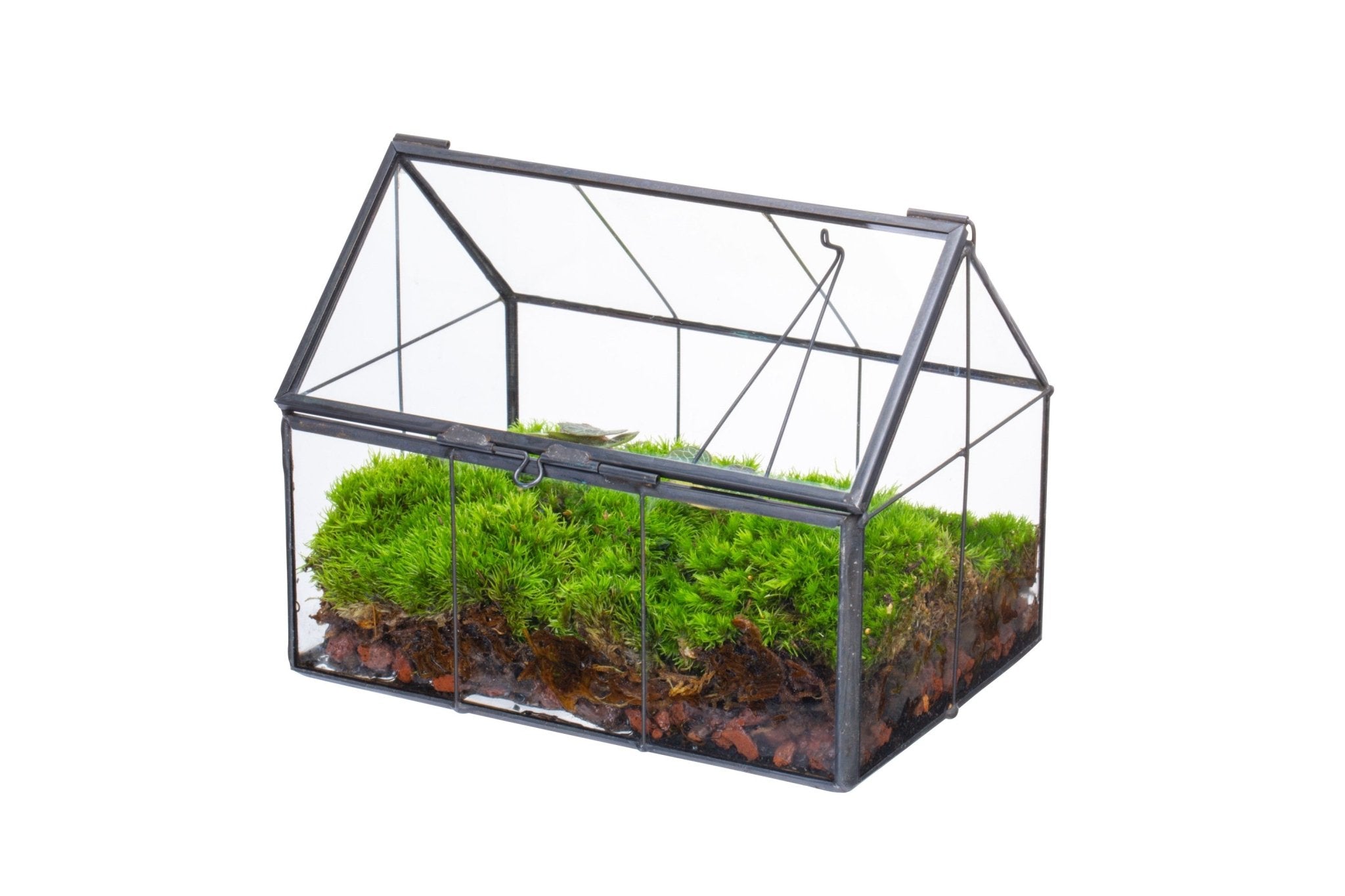 NCYP Mini Glass Terrarium with Lid House Shape Closed Planter Pot for Small Cactus, Succulents Plant PH01F2 - NCYPgarden