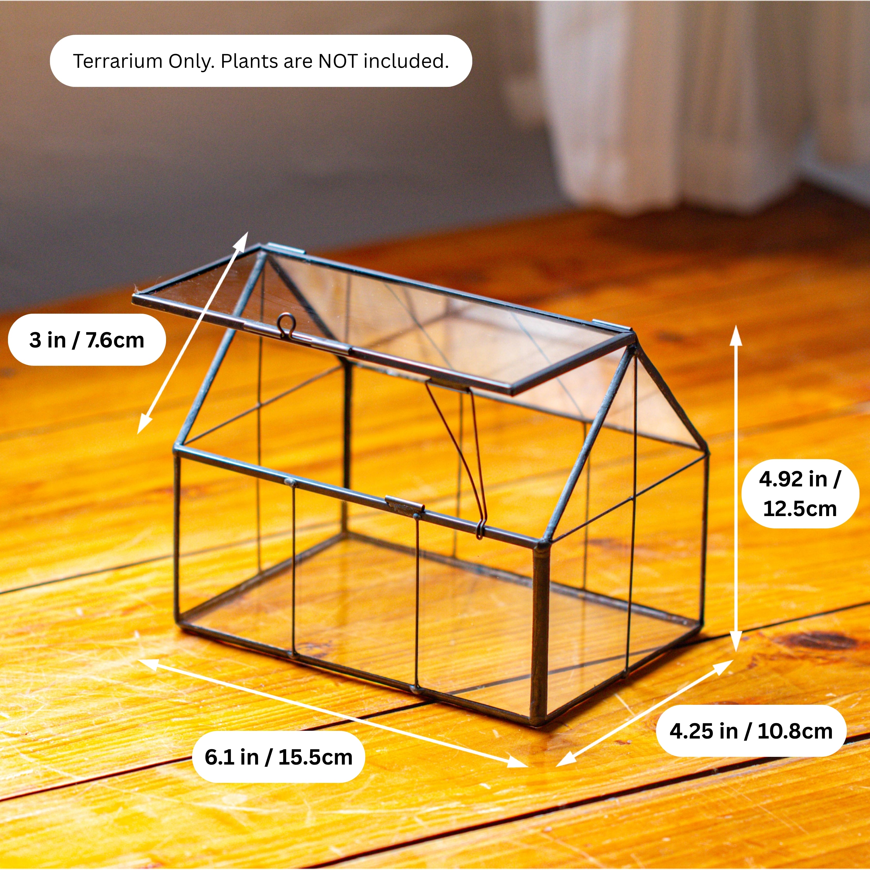 NCYP Mini Glass Terrarium with Lid House Shape Closed Planter Pot for Small Cactus, Succulents Plant - NCYPgarden