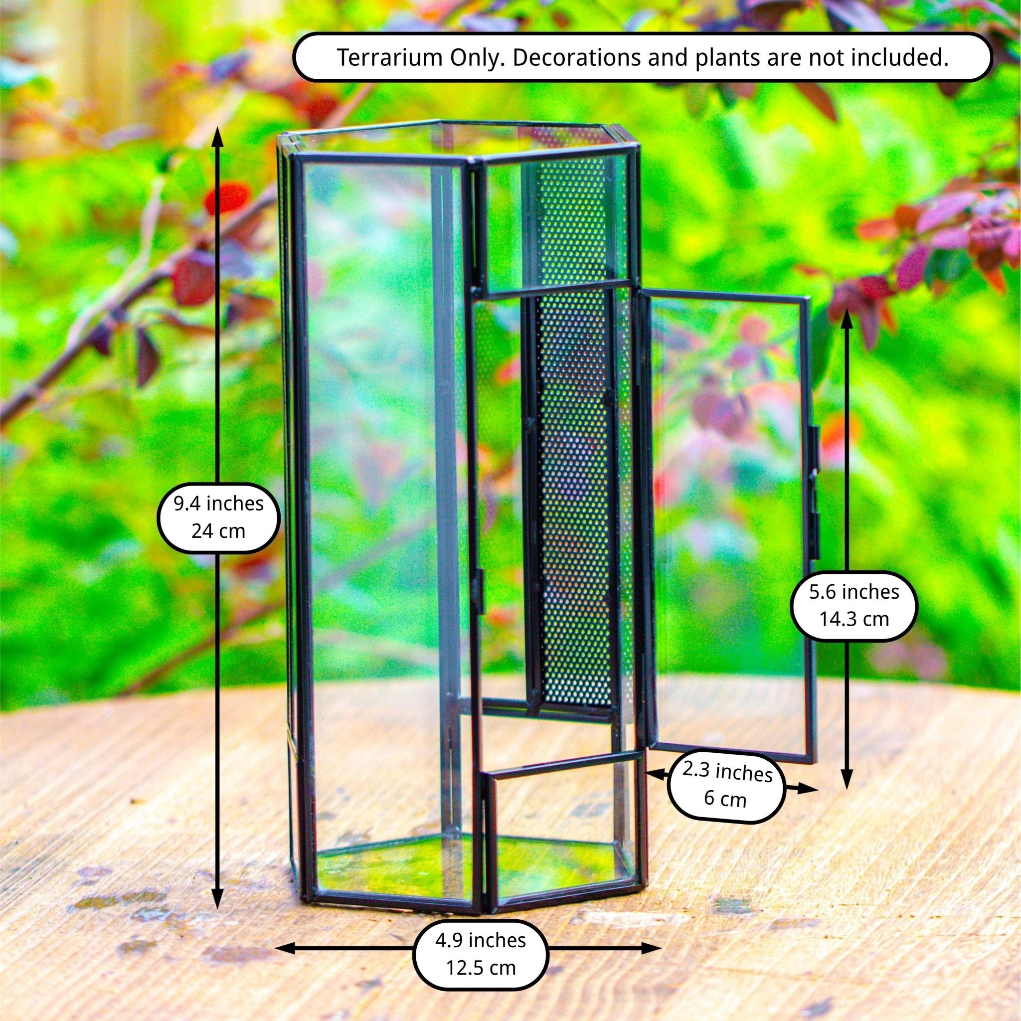 NCYP Tall Hexagon Mimi Geometric Terrarium for Spiders and small Insects SX01E2 - NCYPgarden