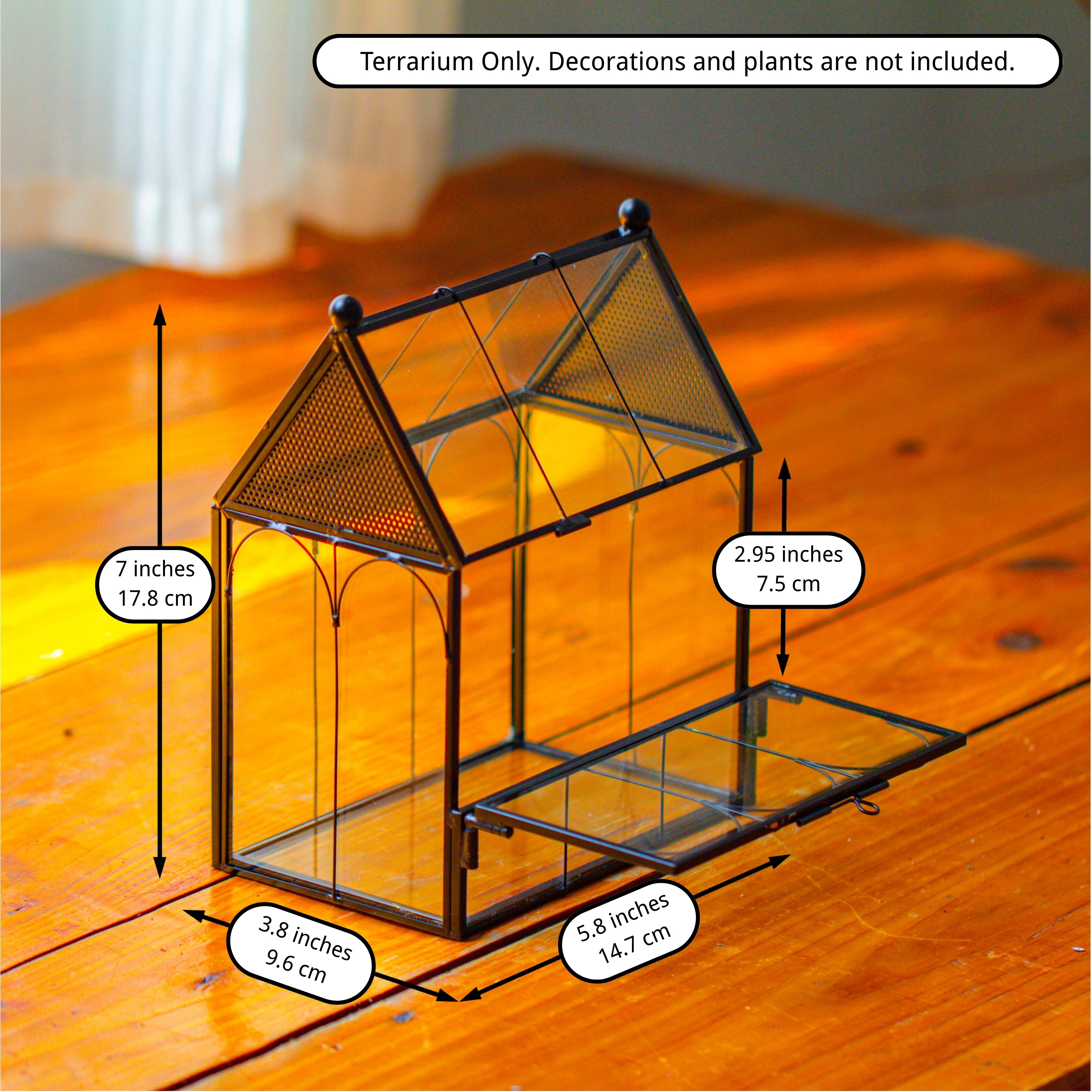 Vintage Mini House Shape Glass Geometric Terrarium for Jumping spider - NCYPgarden