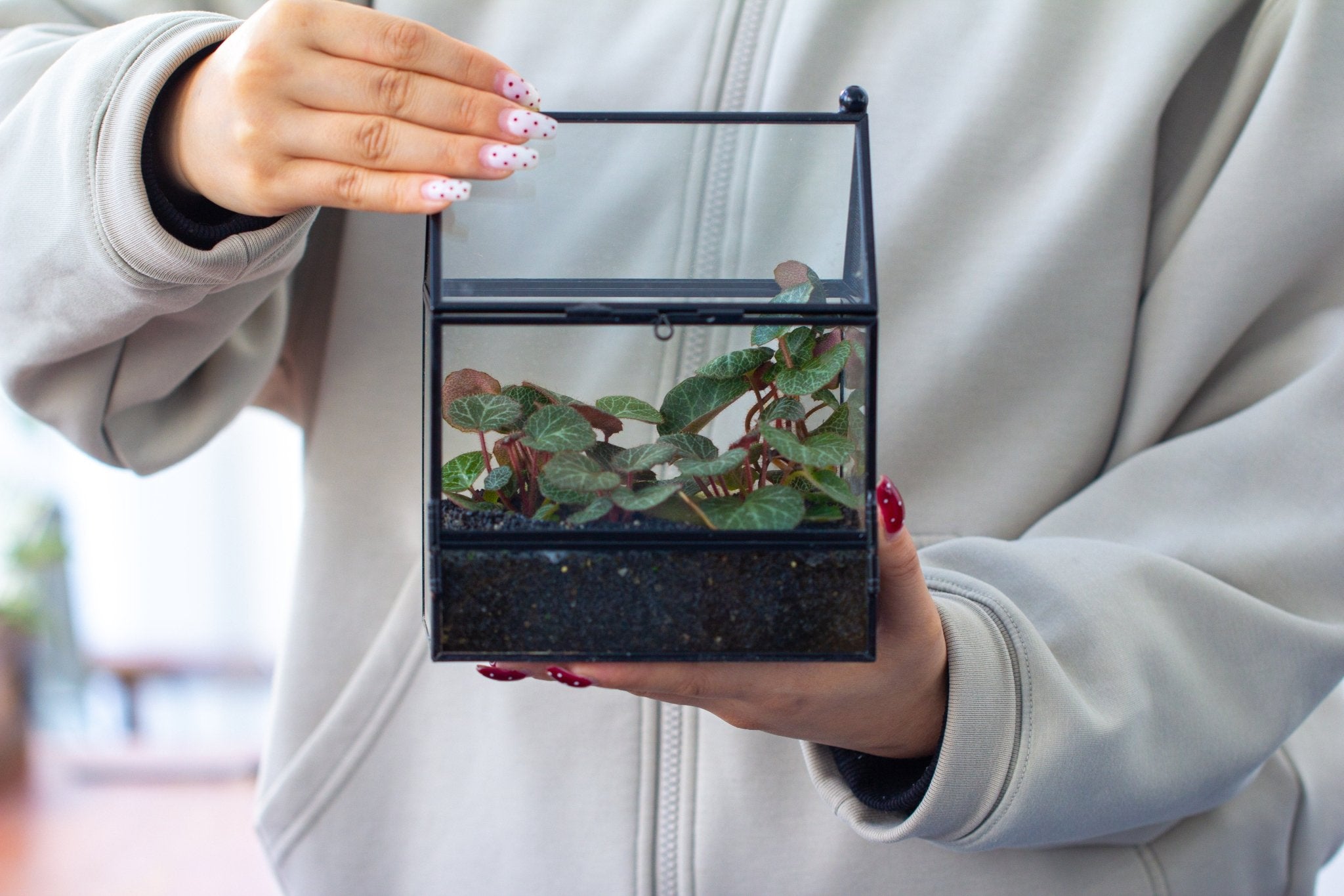 Simplified Mini House Shape Glass Geometric Terrarium for Jumping spider SH03E1 - NCYPgarden