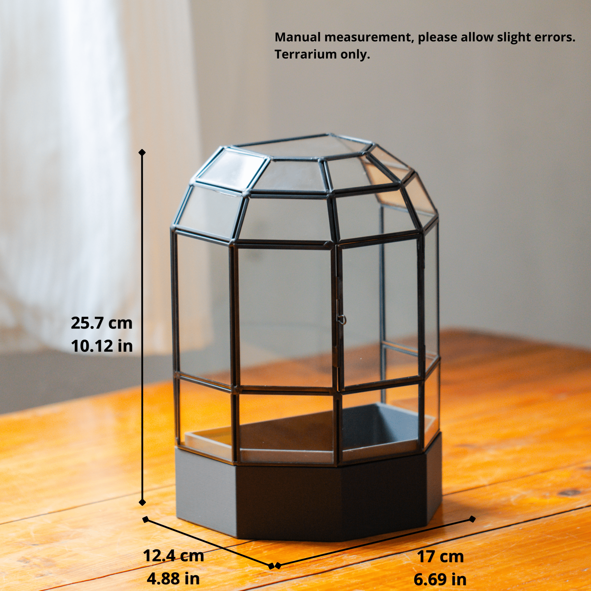 10" Tall Half Dome Glass Terrarium with Water-Holding Base and Door PD02V2 - NCYPgarden