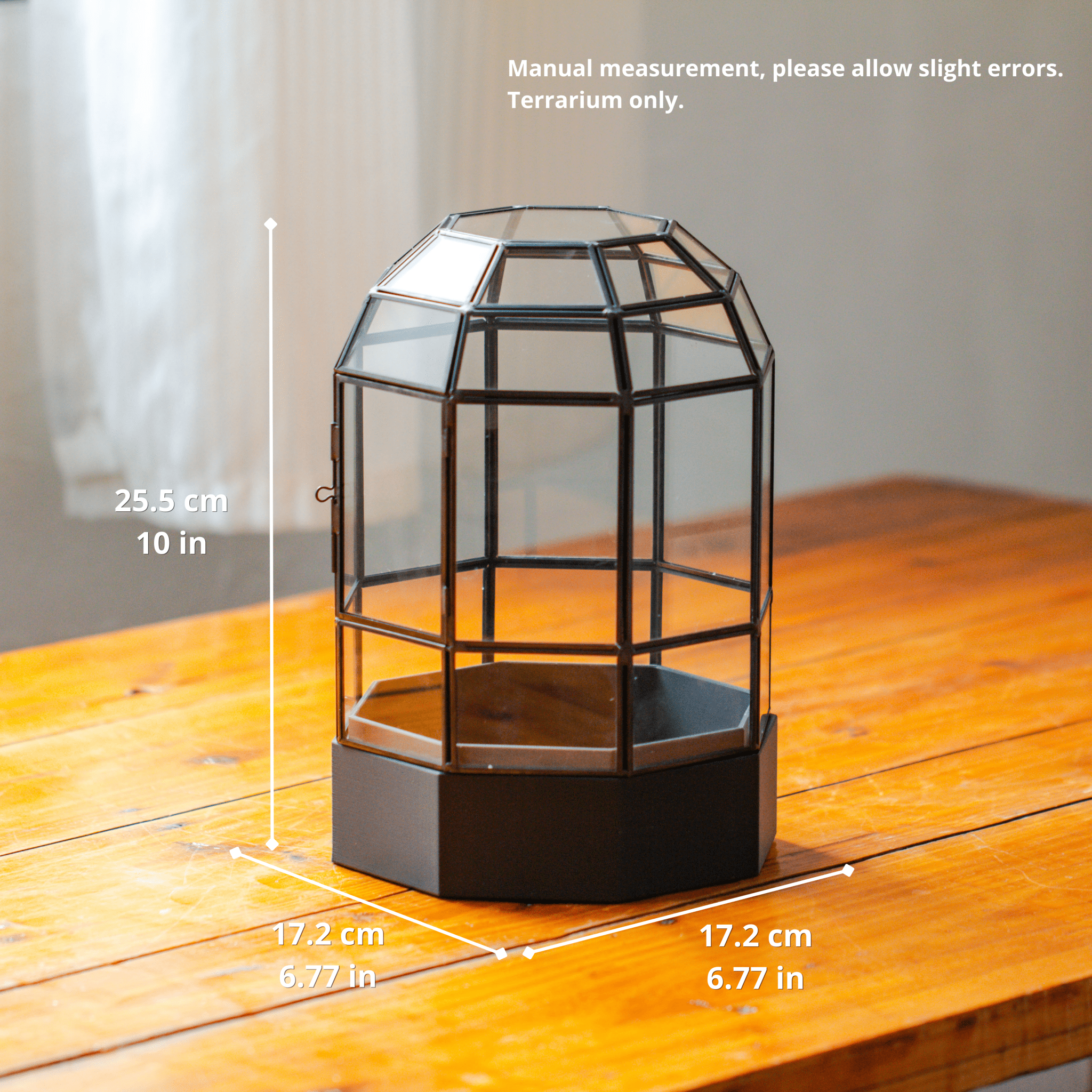 10" Tall Dome Glass Terrarium with Water-Holding Base and Door PD01V2 - NCYPgarden