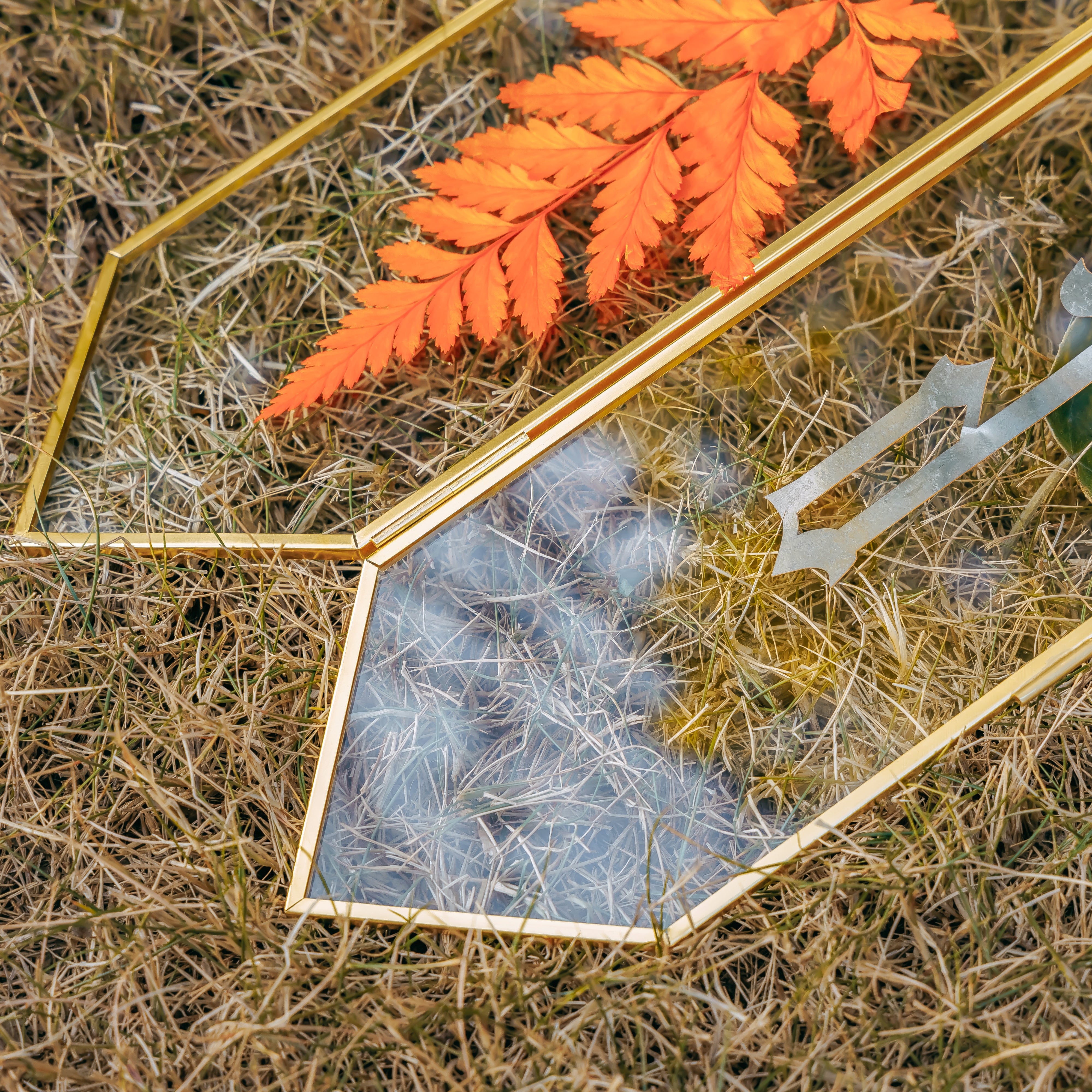 Geometric Gardenia Garden Gold Glass and Brass Wedding Table Number Holder, pressed flower frame - NCYPgarden