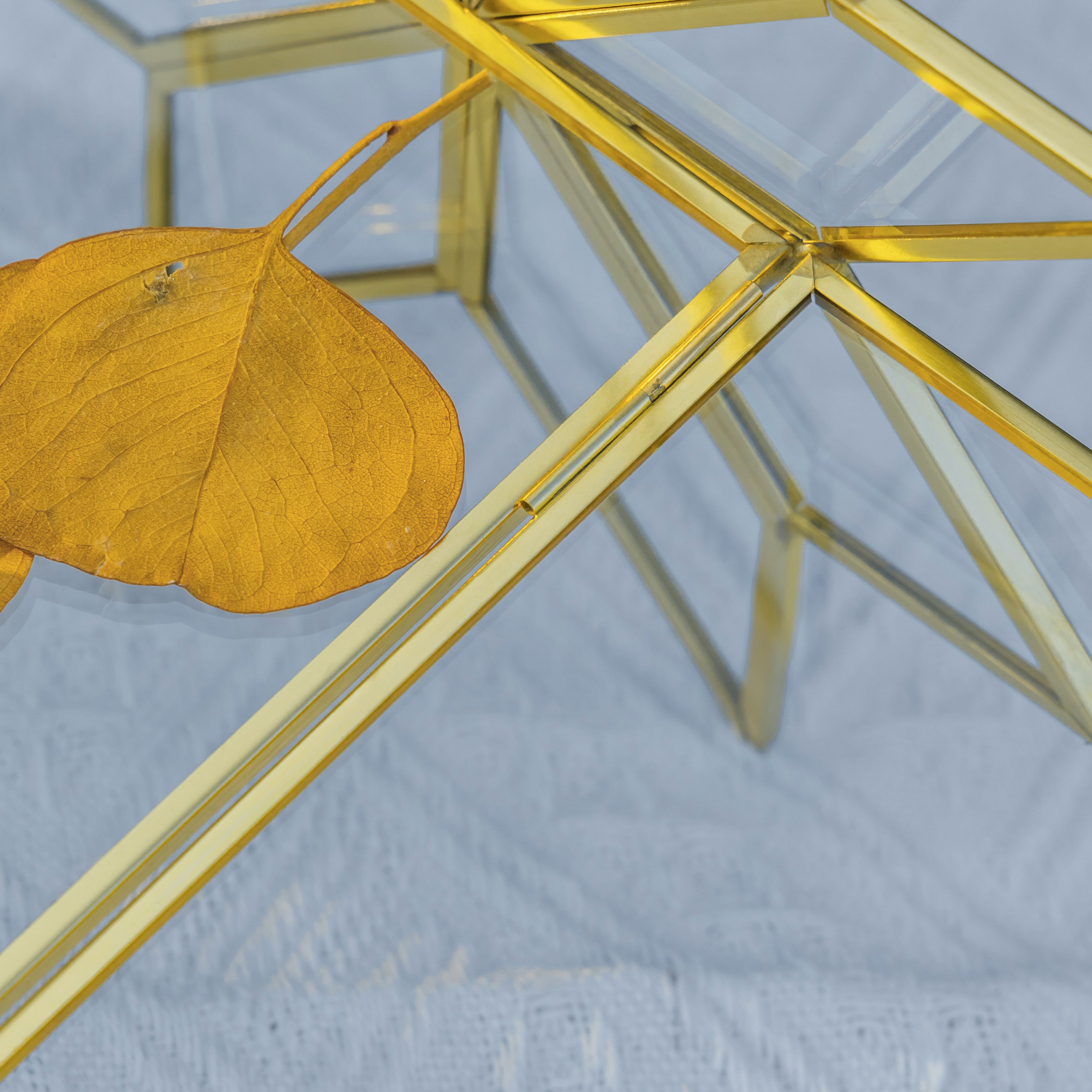 Geometric Gardenia Garden Gold Glass and Brass Wedding Table Number Holder, pressed flower frame - NCYPgarden