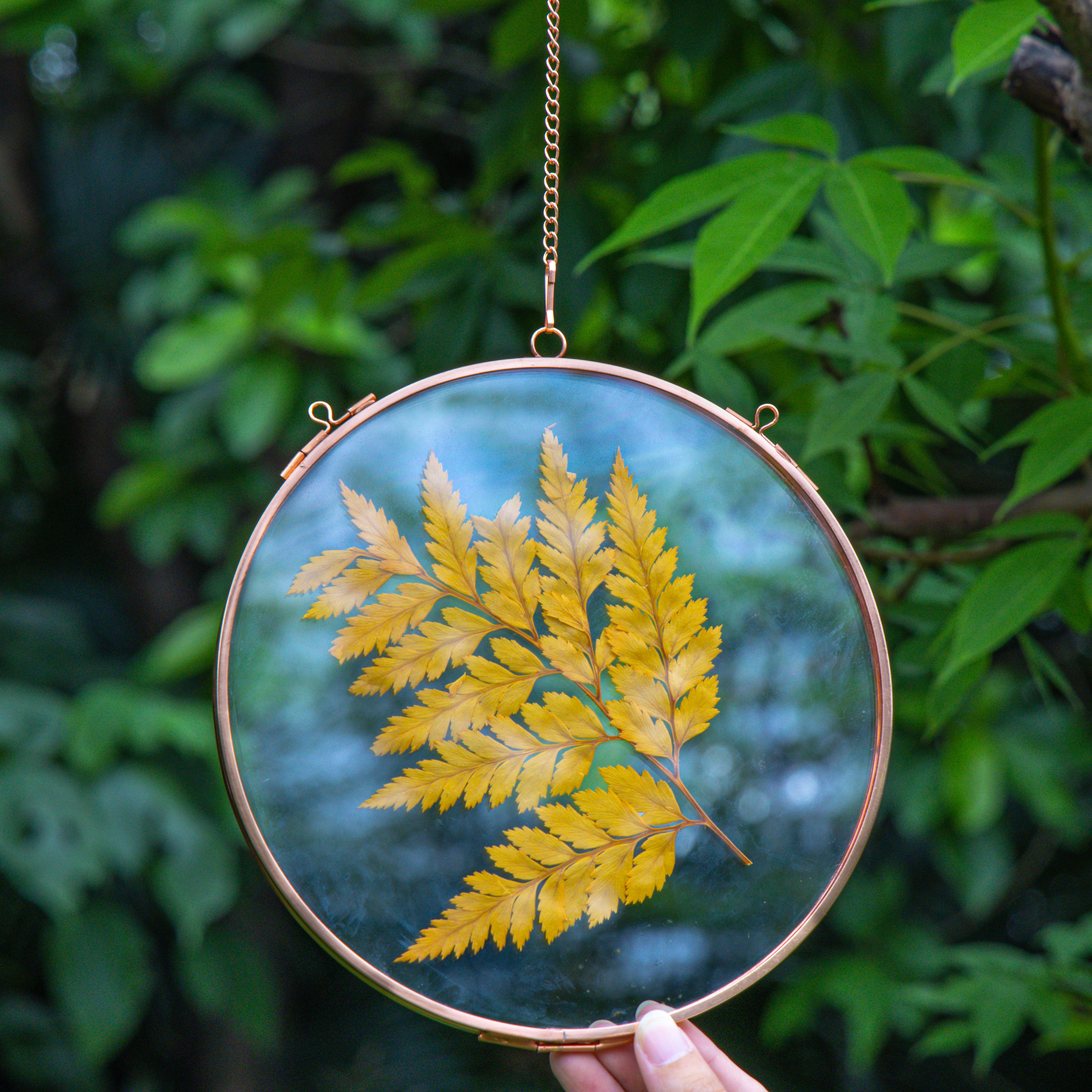 Handmade 7'' Rose Gold Wall Hanging Photo Frame, Pressed Flower Frame, Glass Photo Frame, Wall Decor Housewarming Gift - NCYPgarden