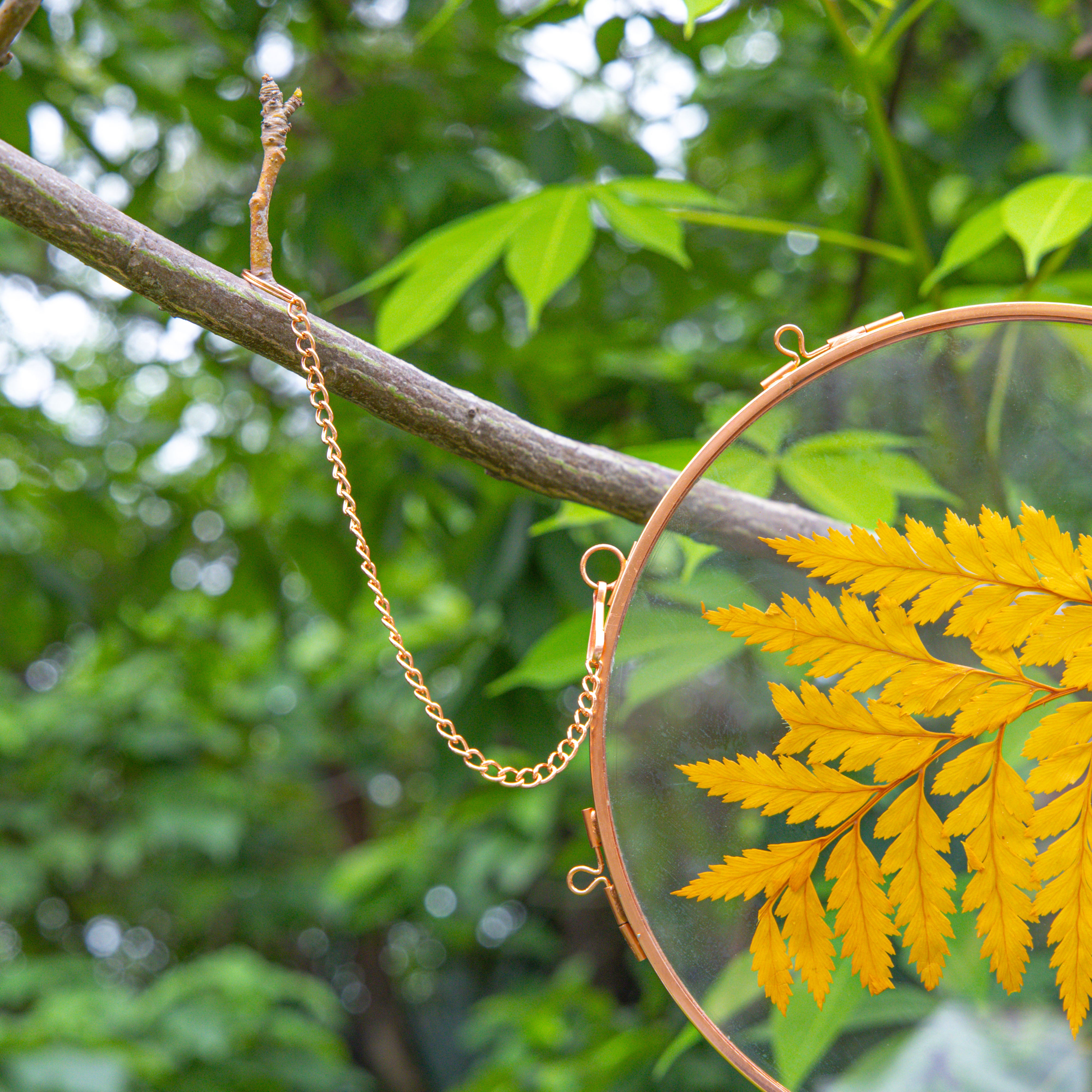 Handmade 7'' Rose Gold Wall Hanging Photo Frame, Pressed Flower Frame, Glass Photo Frame, Wall Decor Housewarming Gift - NCYPgarden