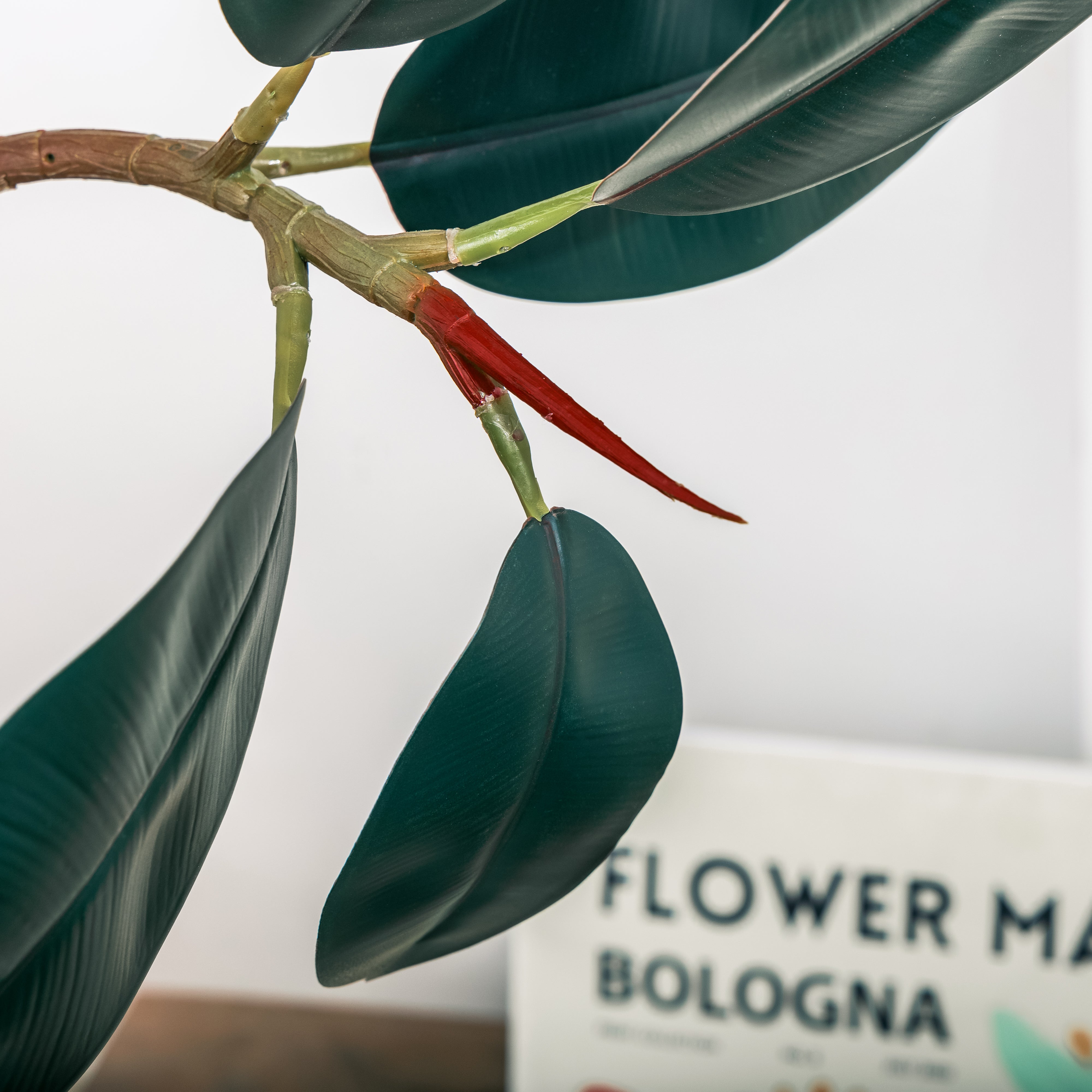 NCYP Artificial Rubber Tree, Rubber Fig, Rubber Bush 5.9FT (70.8 Inches) Tall Faux Plant for Home Office Decor, Indoor Fake Potted Ficus Elastica Tree with Plastic Pot and Rattan Woven Basket - NCYPgarden