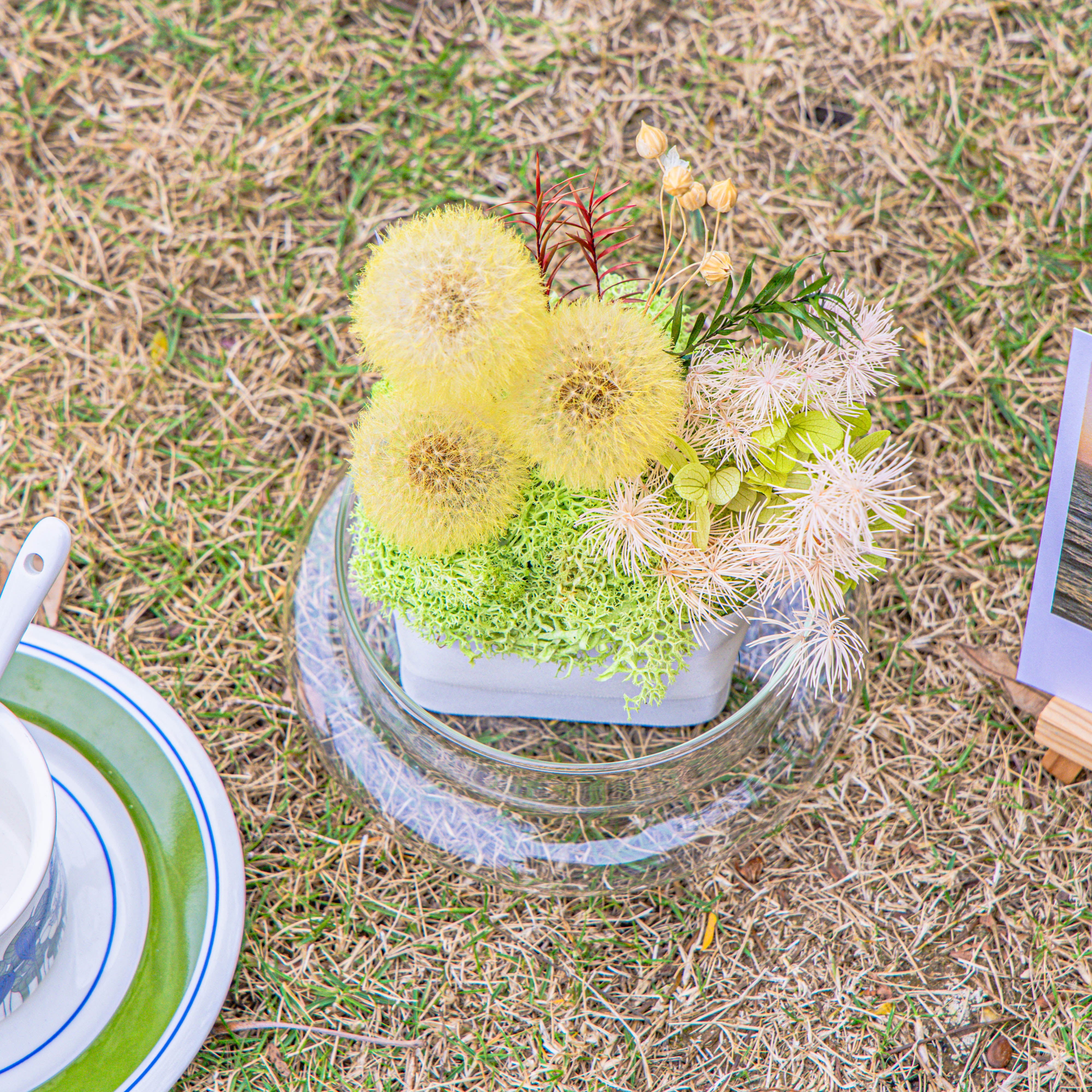 Yellow Presered Dandelion Set 3 pcs Dried Flowers, DIY Material for Bouquet - NCYPgarden