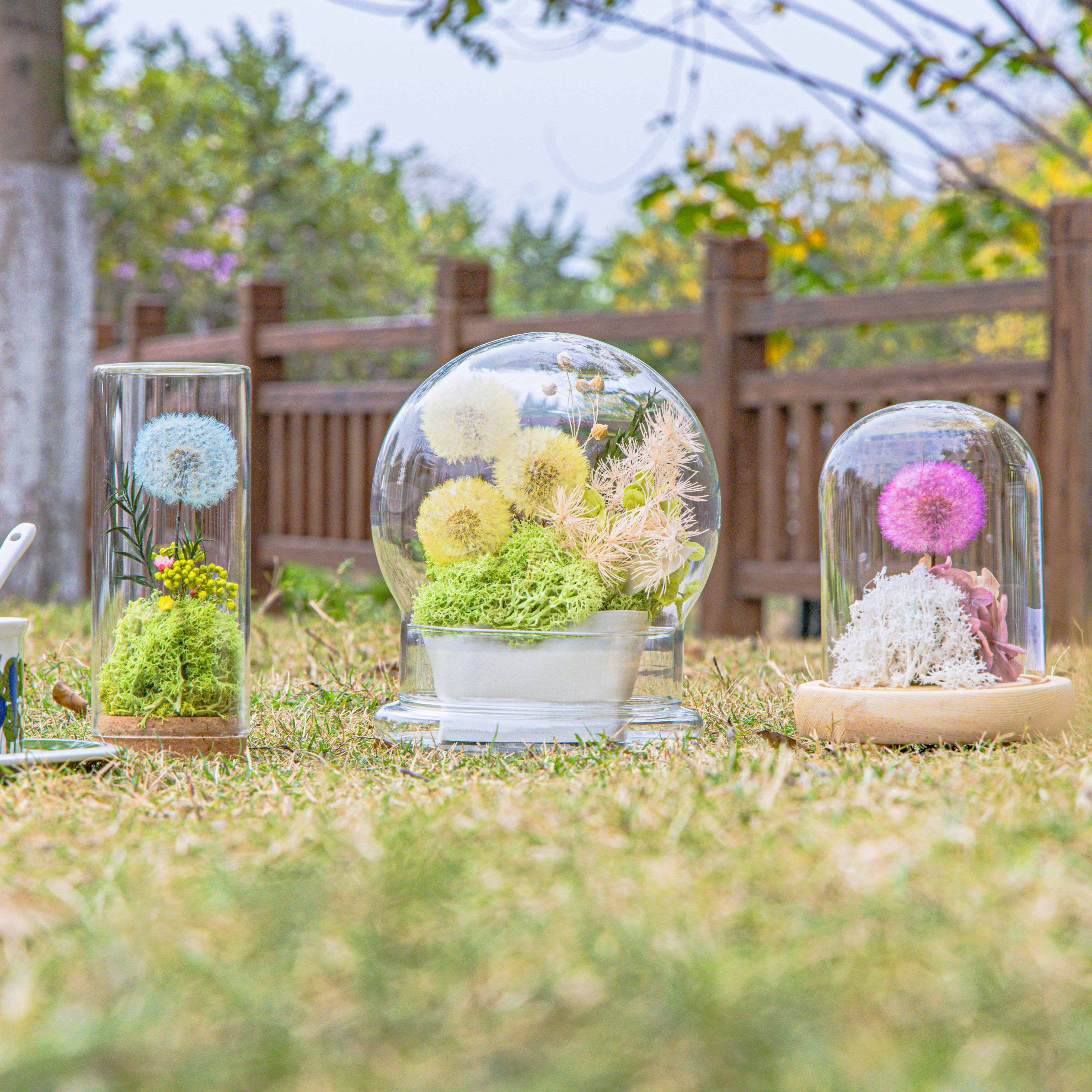 Yellow Presered Dandelion Set 3 pcs Dried Flowers, DIY Material for Bouquet - NCYPgarden