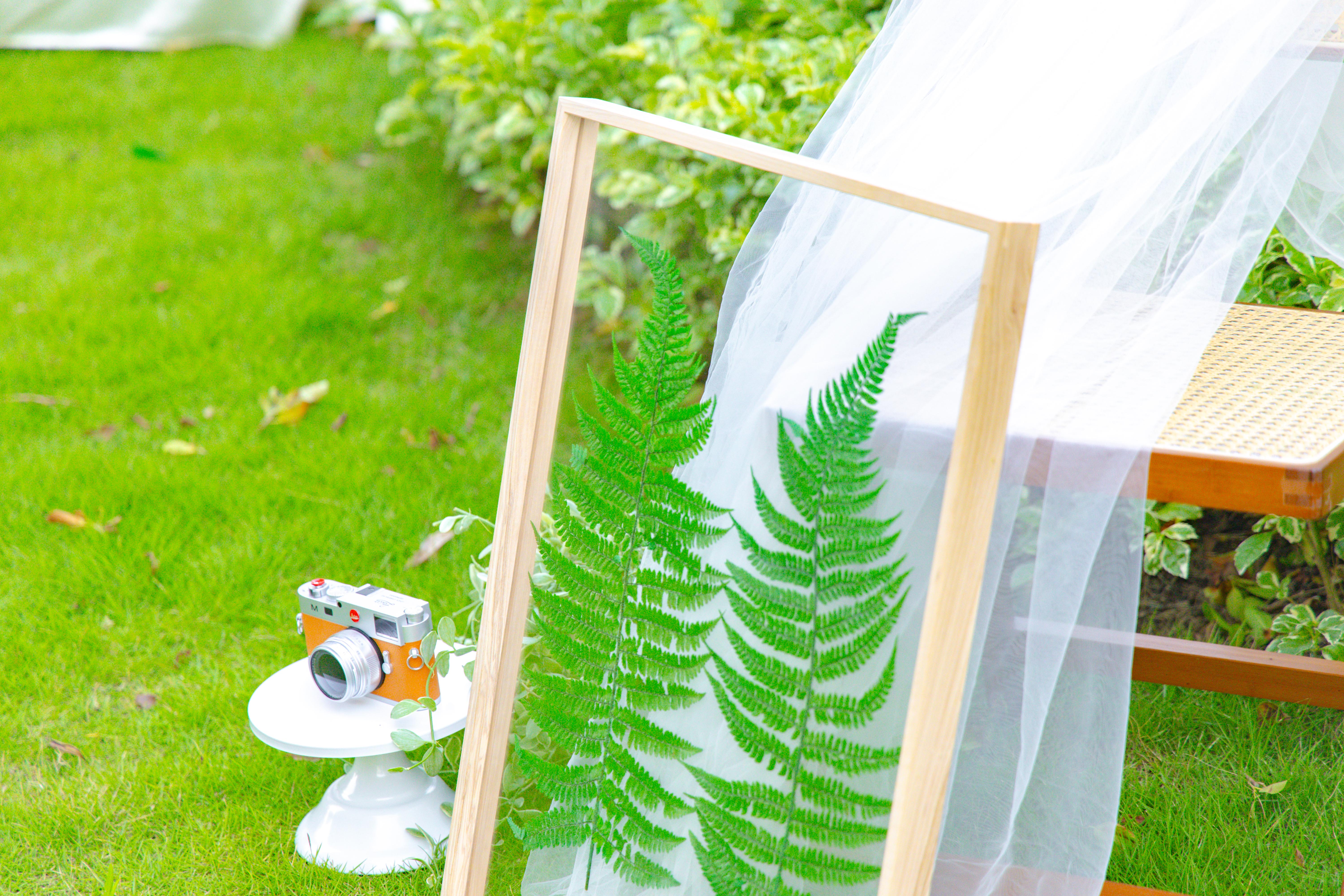 Customizable  NCYP Handmade 18x24" 20x24" Tabletop Wall Hanging Natural Wood Acrylic Artwork  Floating Frame - NCYPgarden