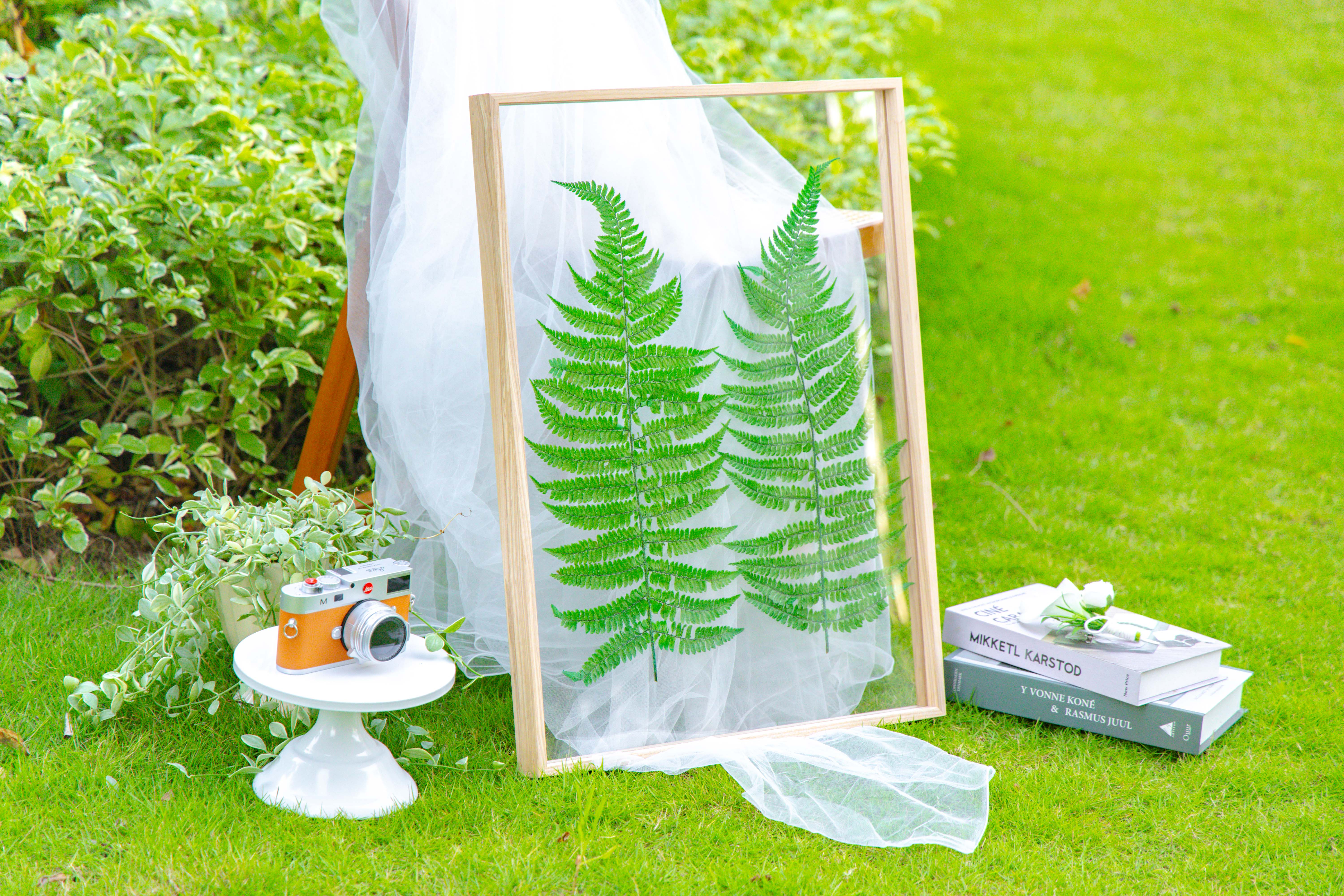 Customizable  NCYP Handmade 18x24" 20x24" Tabletop Wall Hanging Natural Wood Acrylic Artwork  Floating Frame - NCYPgarden