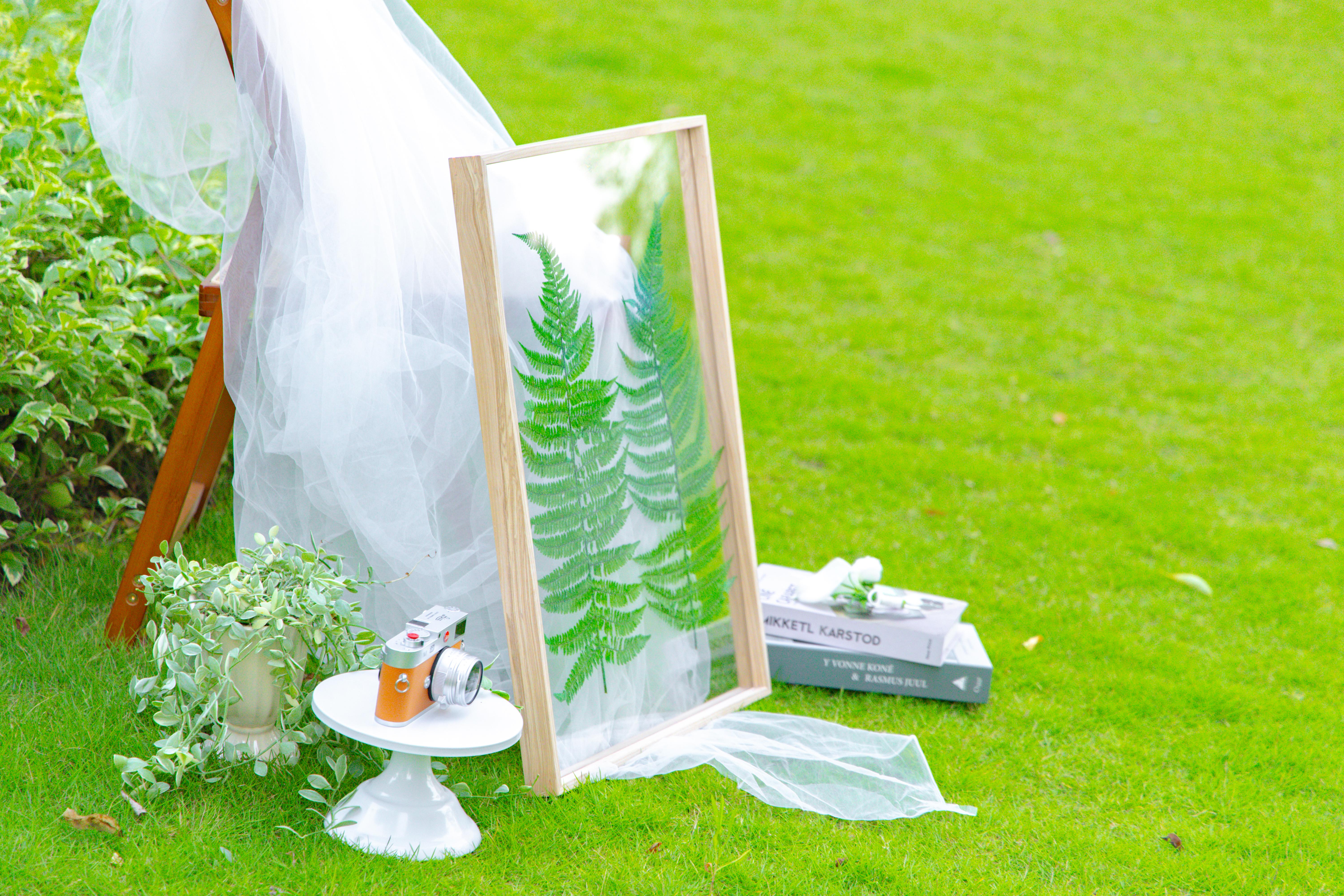 Customizable  NCYP Handmade 18x24" 20x24" Tabletop Wall Hanging Natural Wood Acrylic Artwork  Floating Frame - NCYPgarden