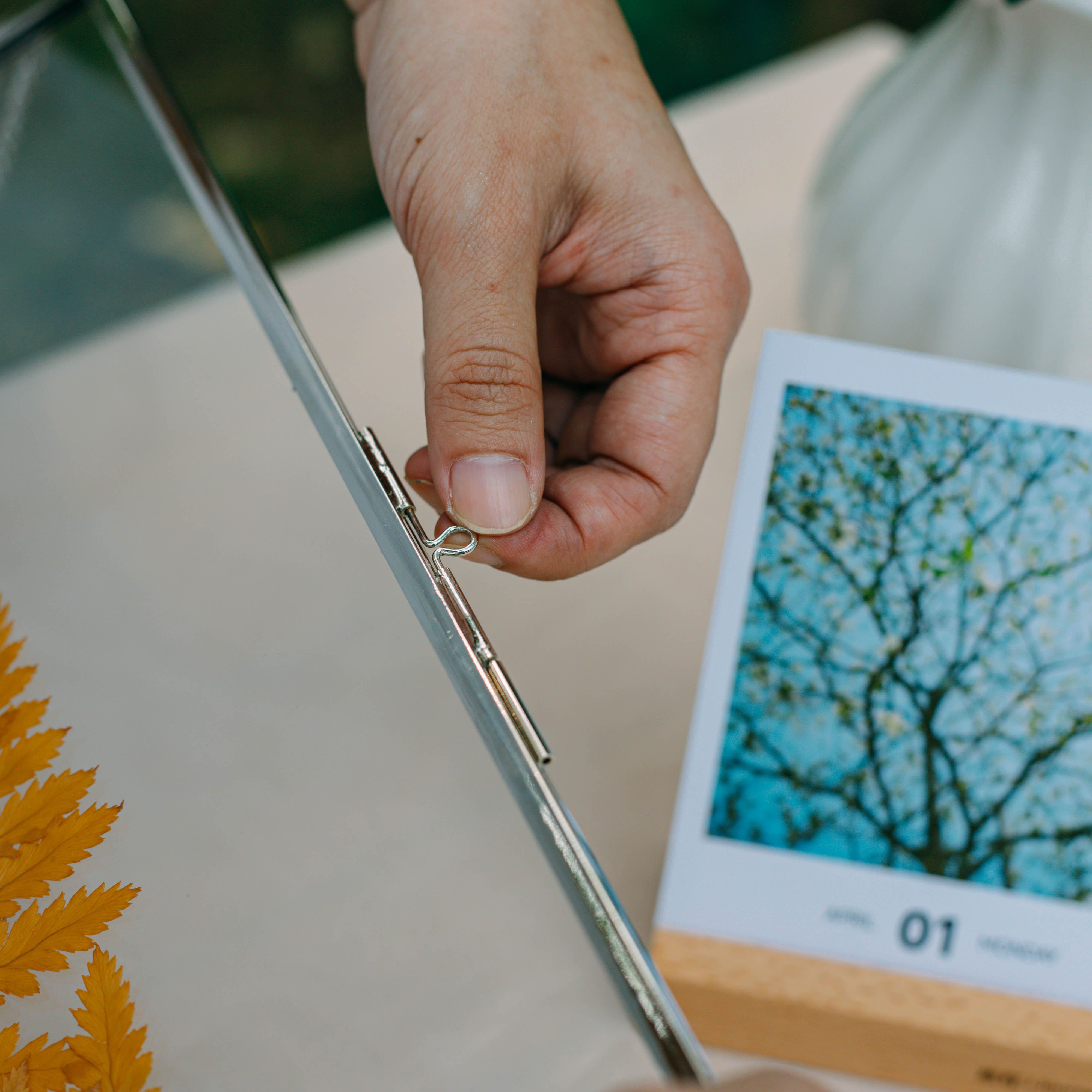 Handmade Silver 11x14" Hanging Double Glass  Pressed Flower Floating Frame - NCYPgarden