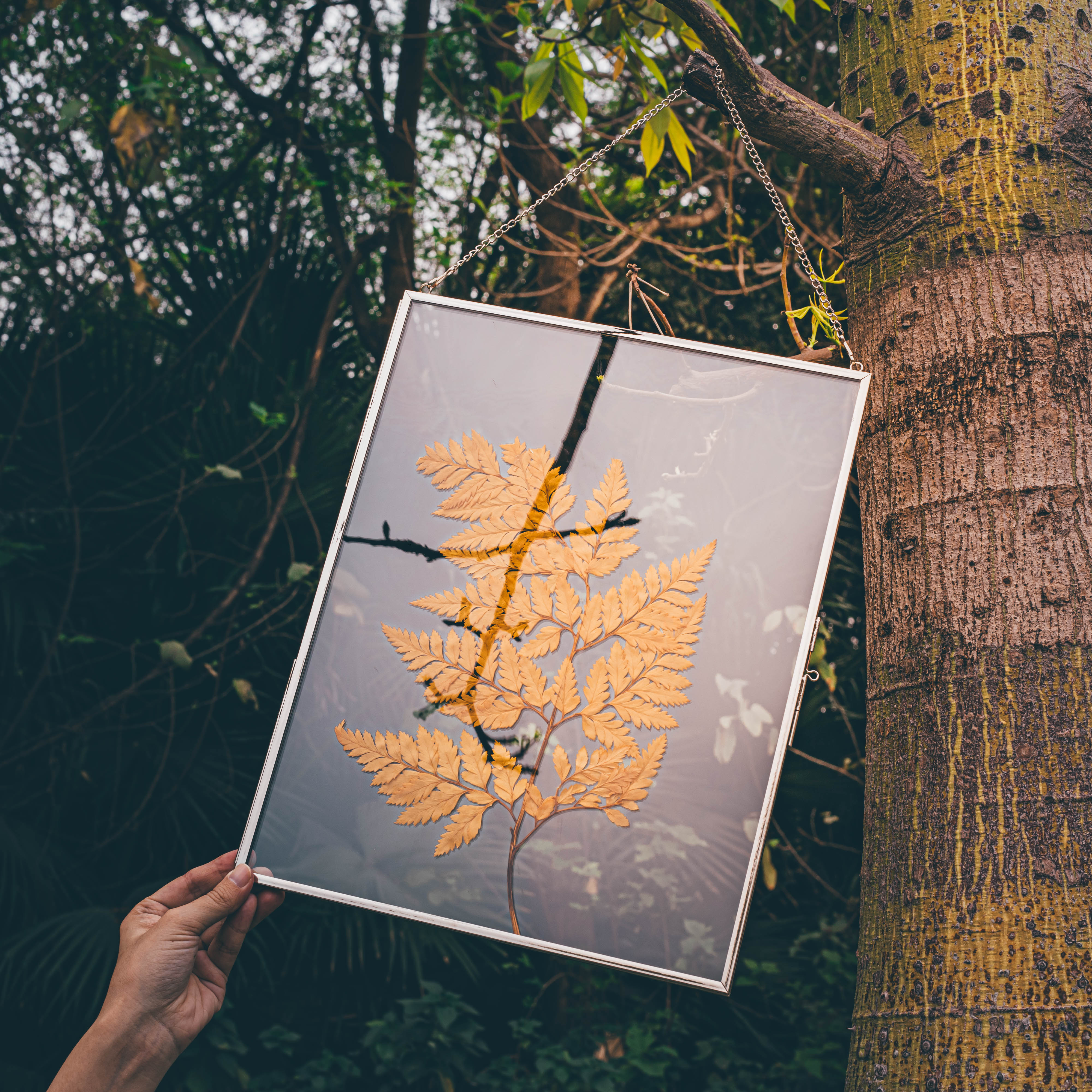 Handmade Silver 11x14" Hanging Double Glass  Pressed Flower Floating Frame - NCYPgarden