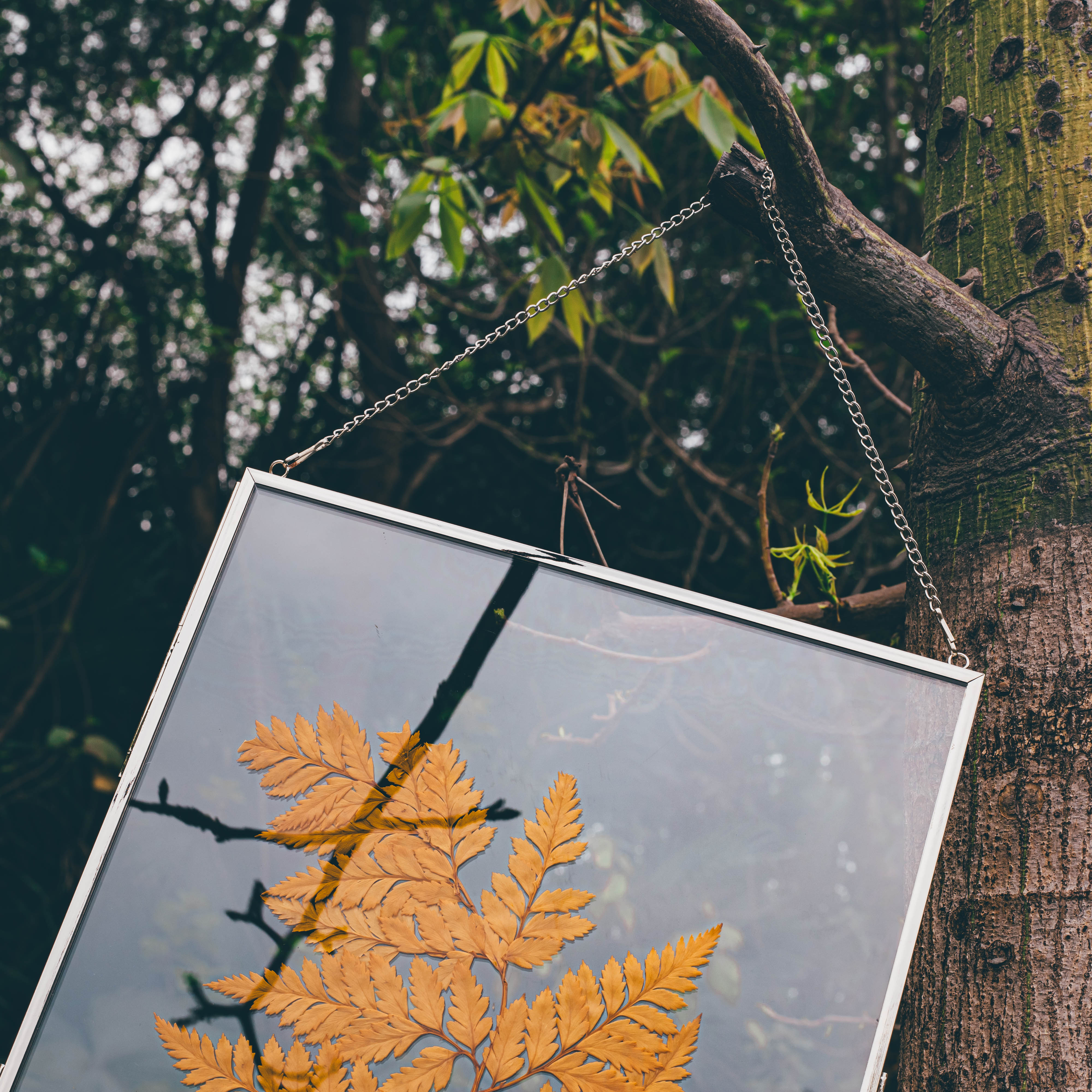 Handmade Silver 11x14" Hanging Double Glass  Pressed Flower Floating Frame - NCYPgarden