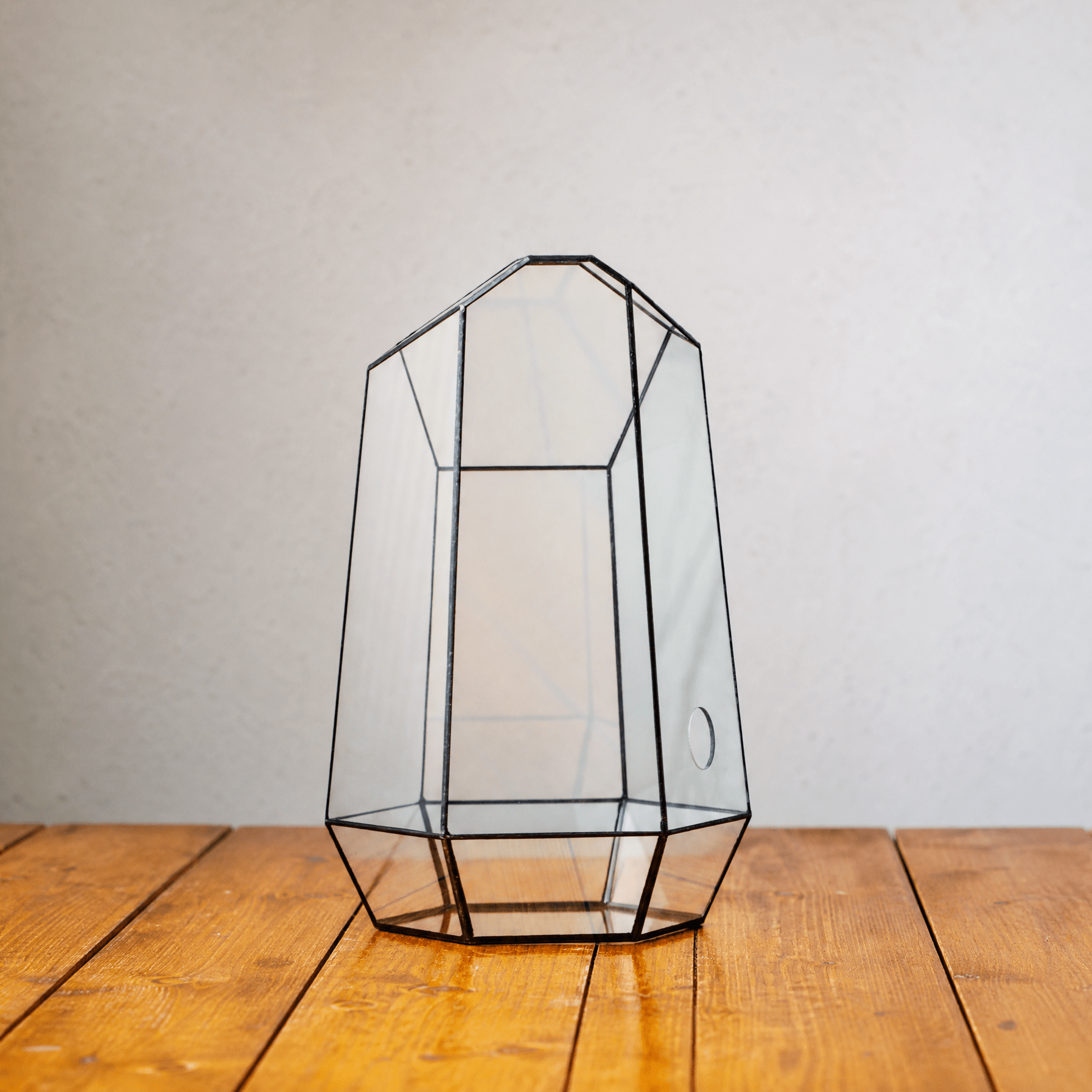 Handmade Extra Large Tall Irregular Glass Geometric Terrarium，Open, Waterproof, with Wire hole - NCYPgarden