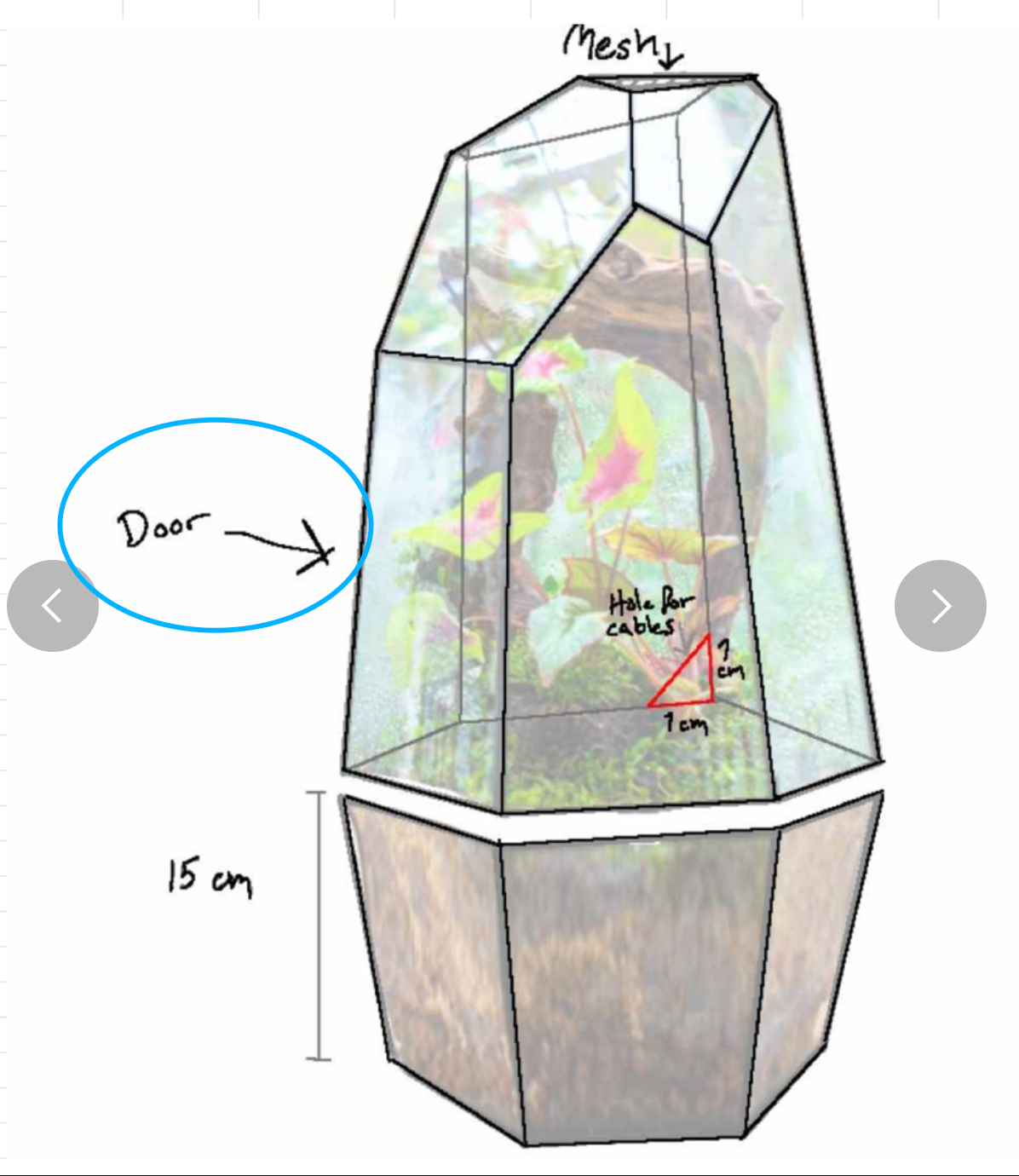 custommade terrarium for Emily - NCYPgarden