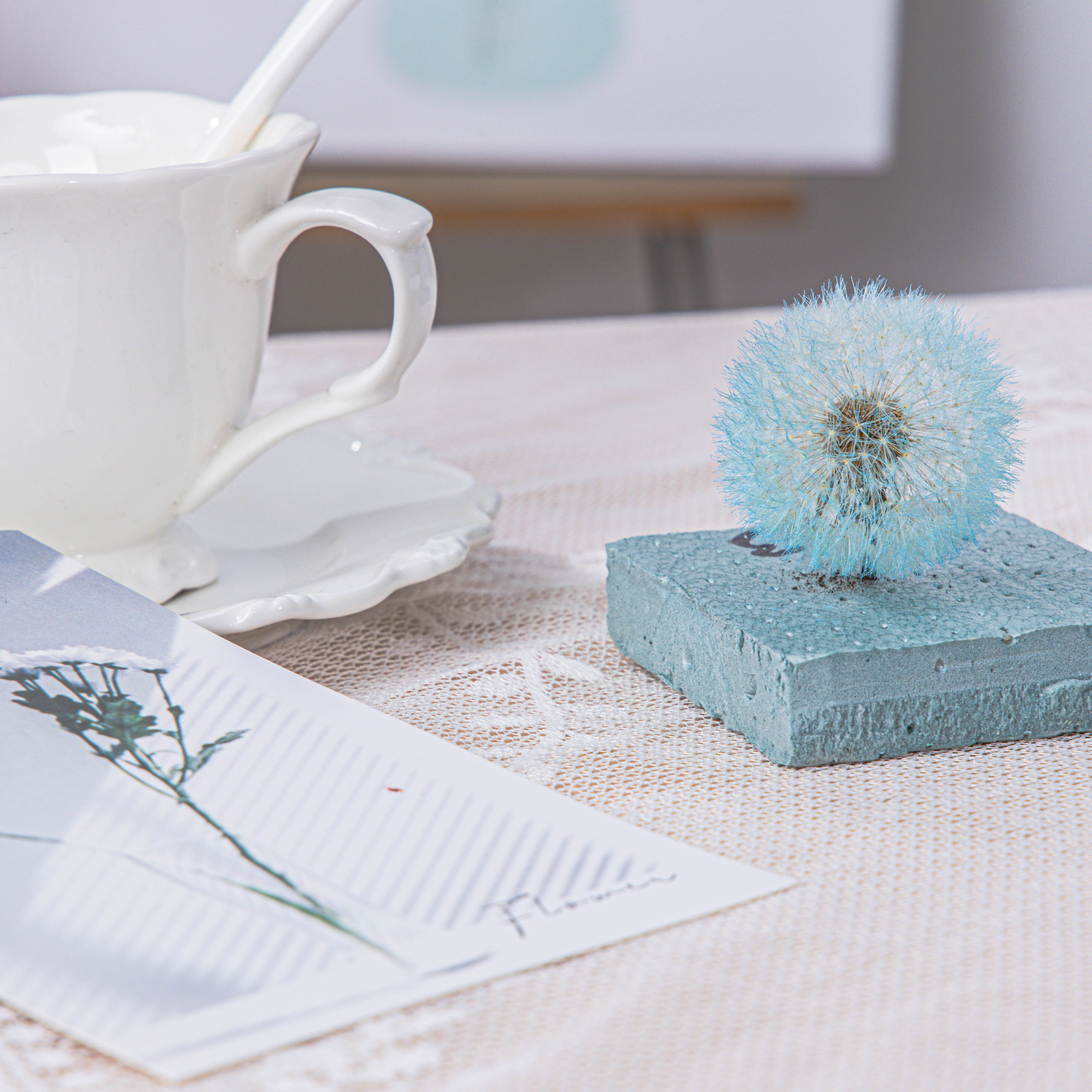 Sky Blue Presered Dandelion Set 3 pcs Dried Flowers, DIY Material for Bouquet - NCYPgarden