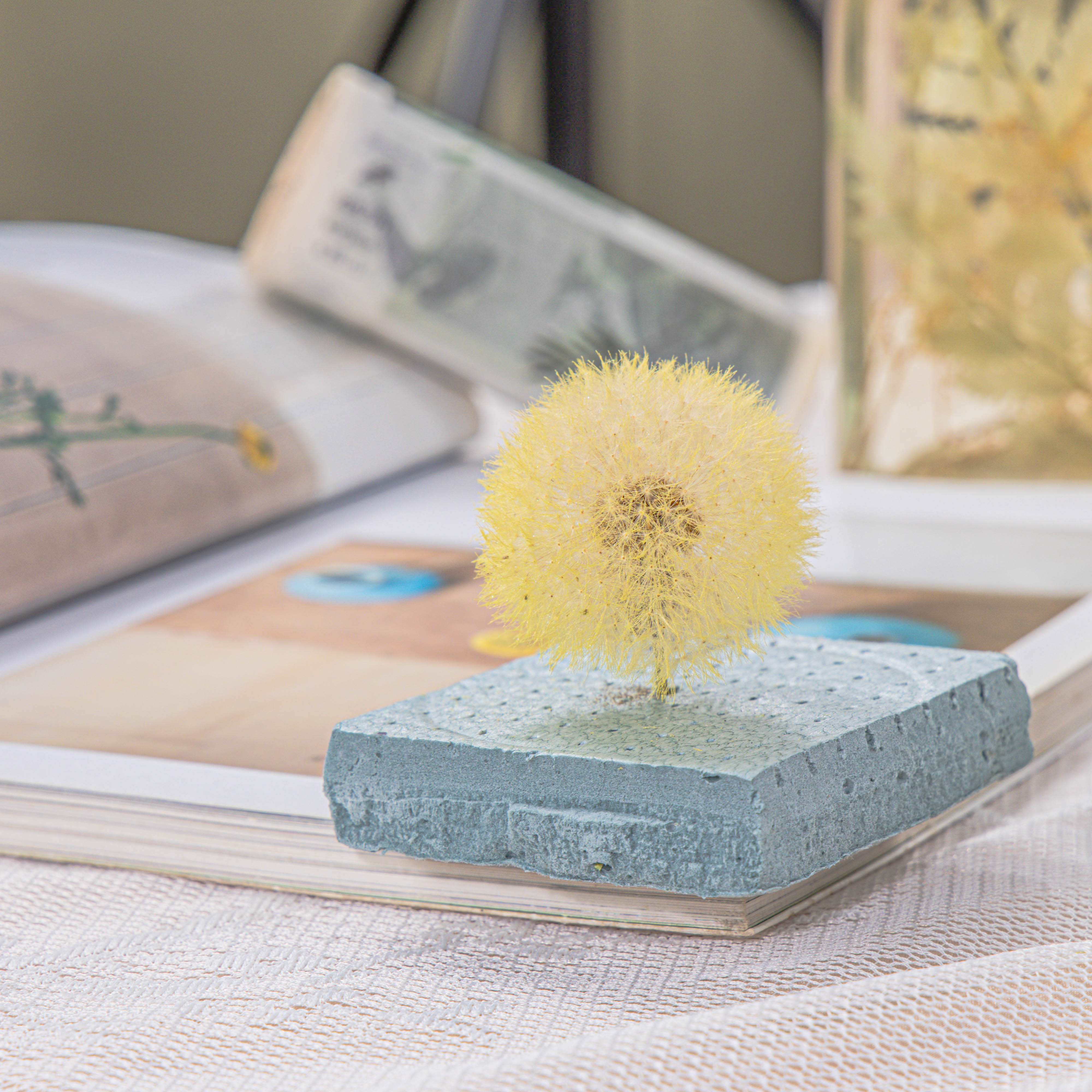 Yellow Presered Dandelion Set 3 pcs Dried Flowers, DIY Material for Bouquet - NCYPgarden