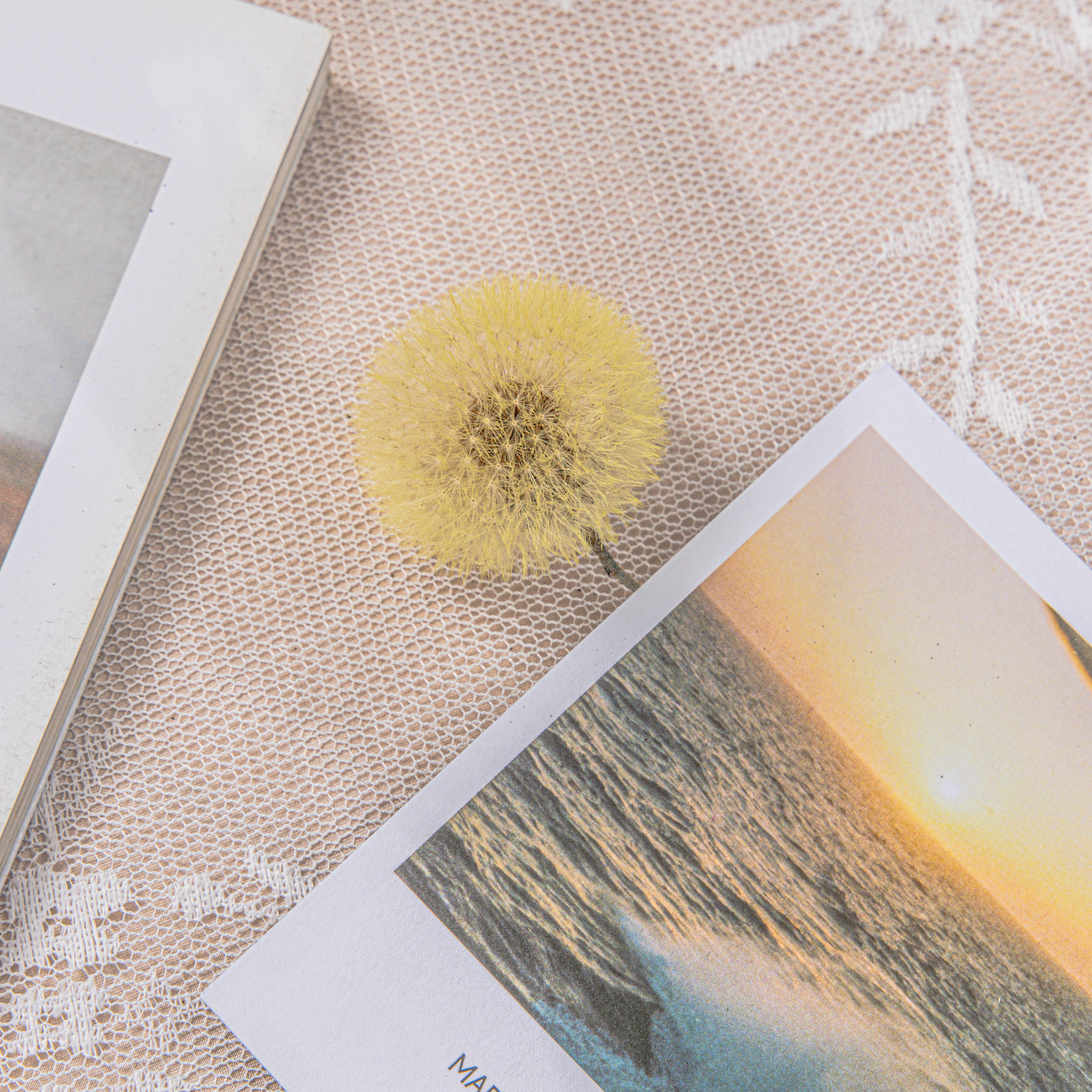 Yellow Presered Dandelion Set 3 pcs Dried Flowers, DIY Material for Bouquet - NCYPgarden