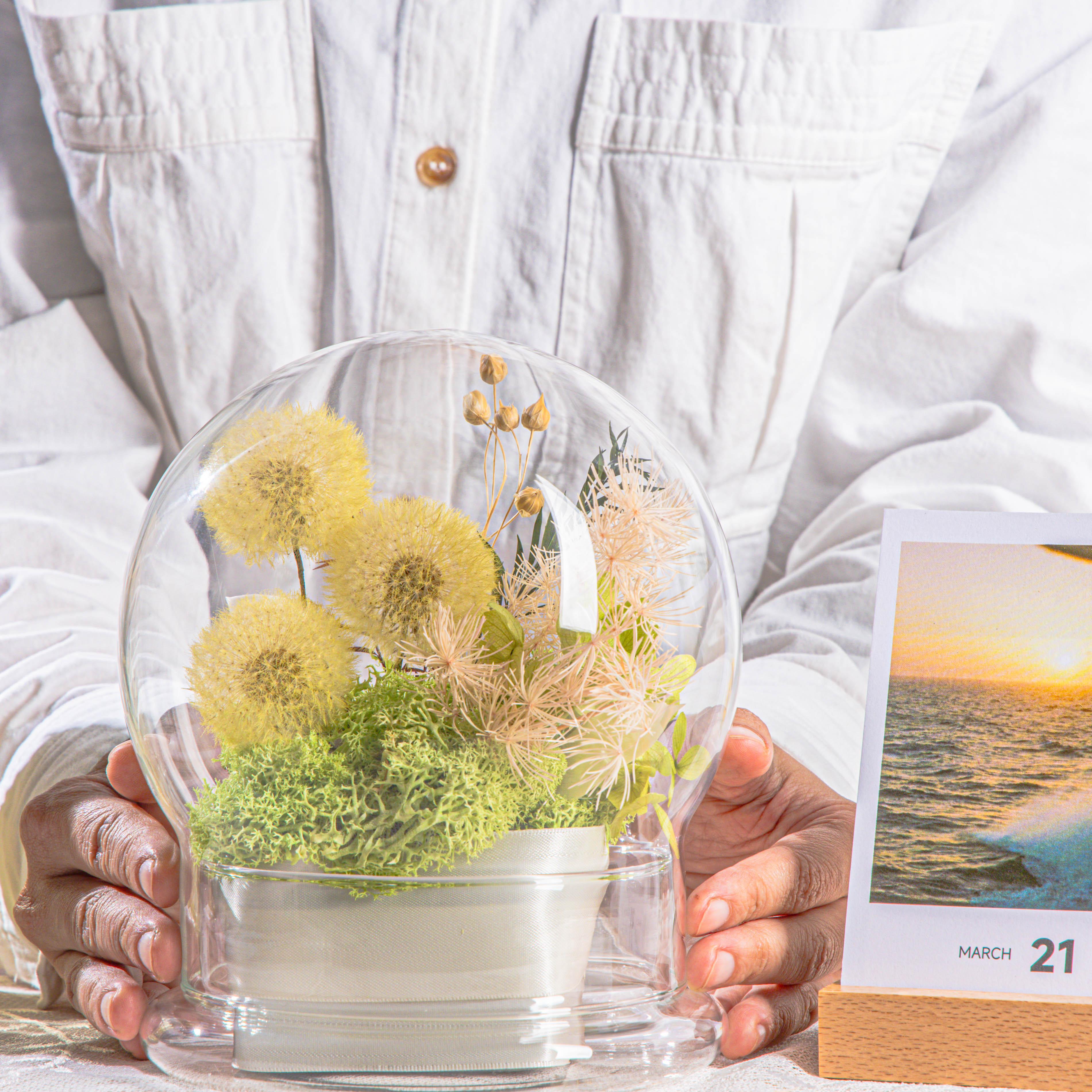 Yellow Presered Dandelion Set 3 pcs Dried Flowers, DIY Material for Bouquet - NCYPgarden