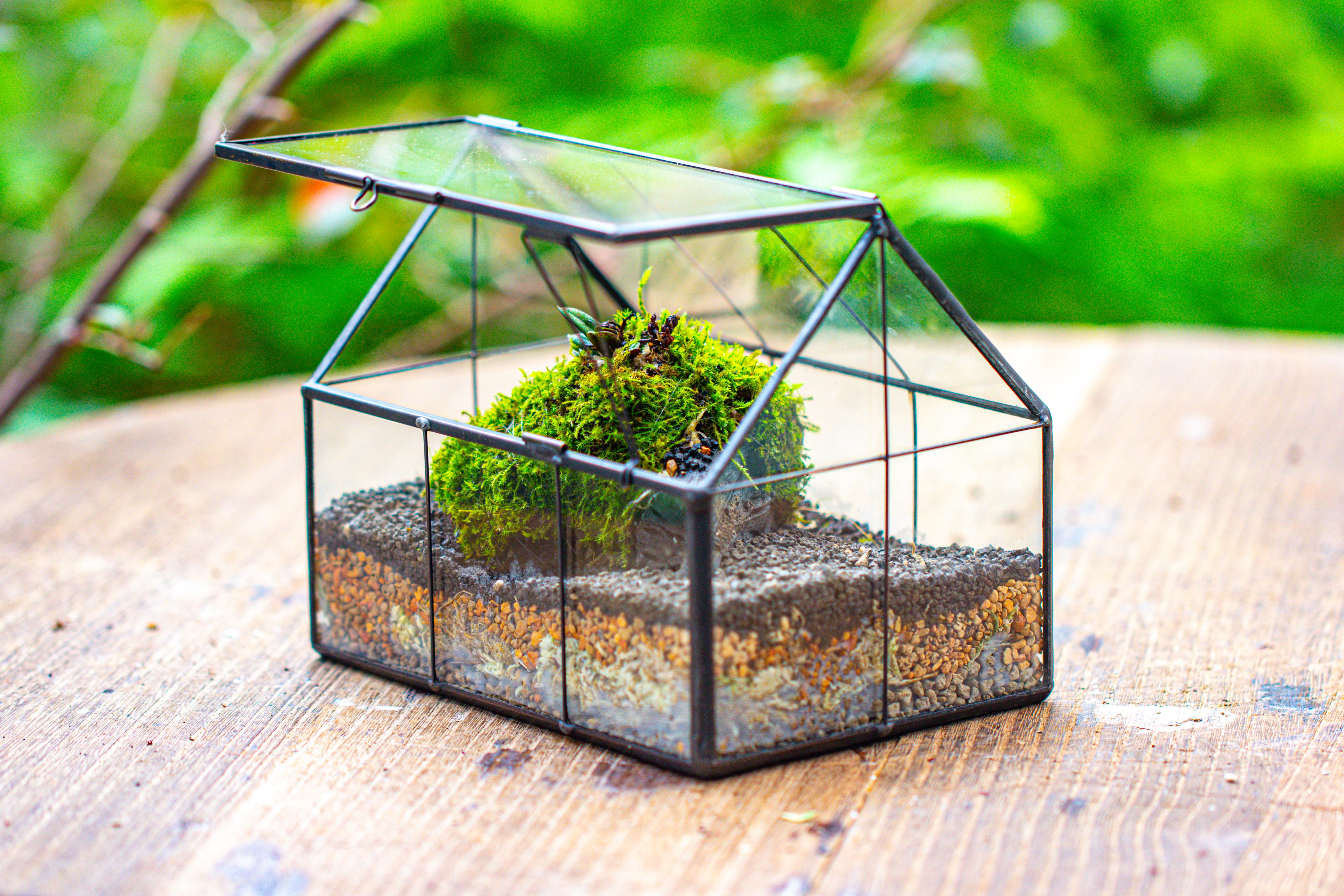 NCYP Mini Glass Terrarium with Lid House Shape Closed Planter Pot for Small Cactus, Succulents Plant - NCYPgarden