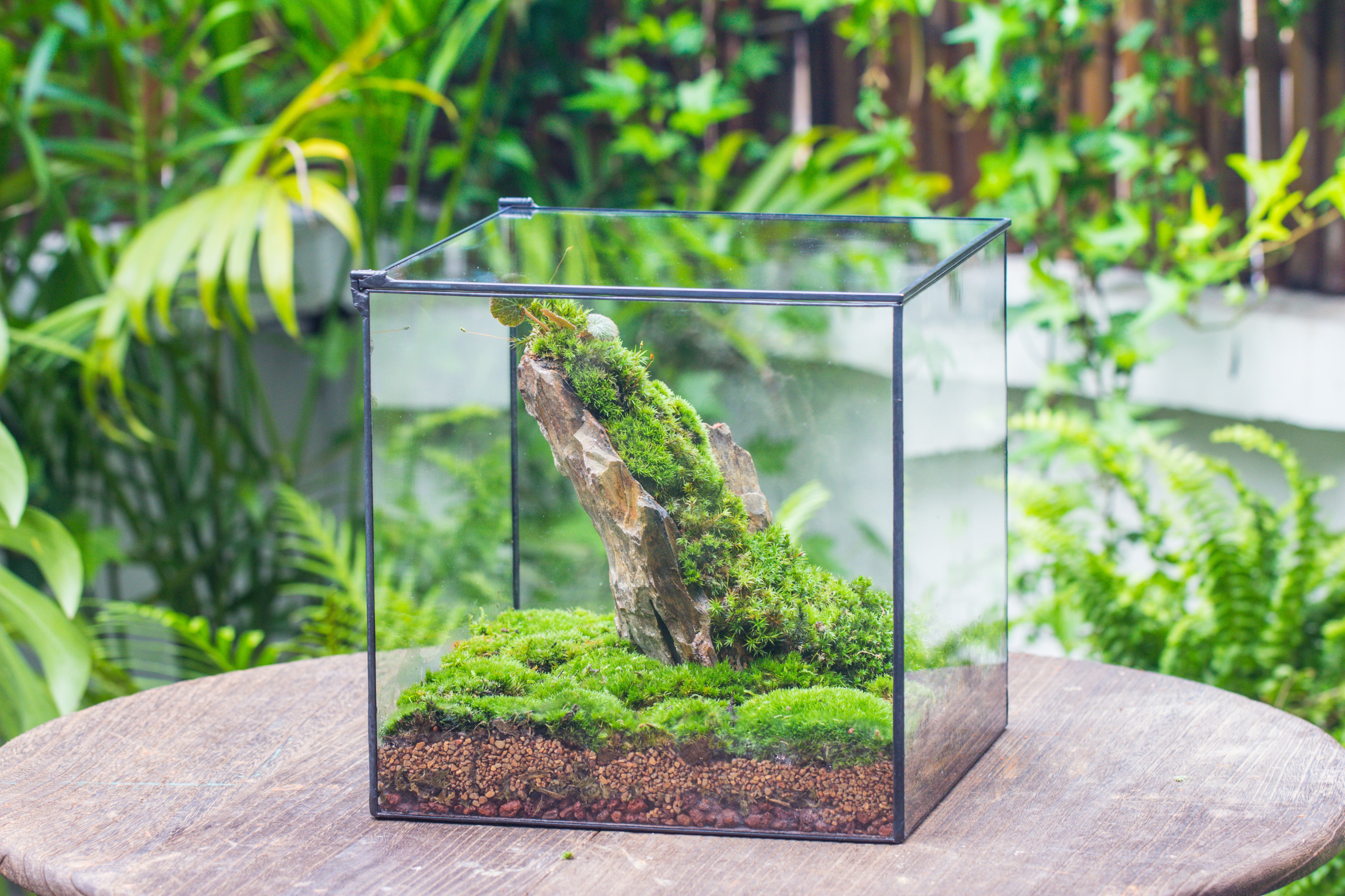 Handmade 8x8x10'' Cube Closed Geometric Glass Tin Terrarium with LED Grow Light Set - NCYPgarden