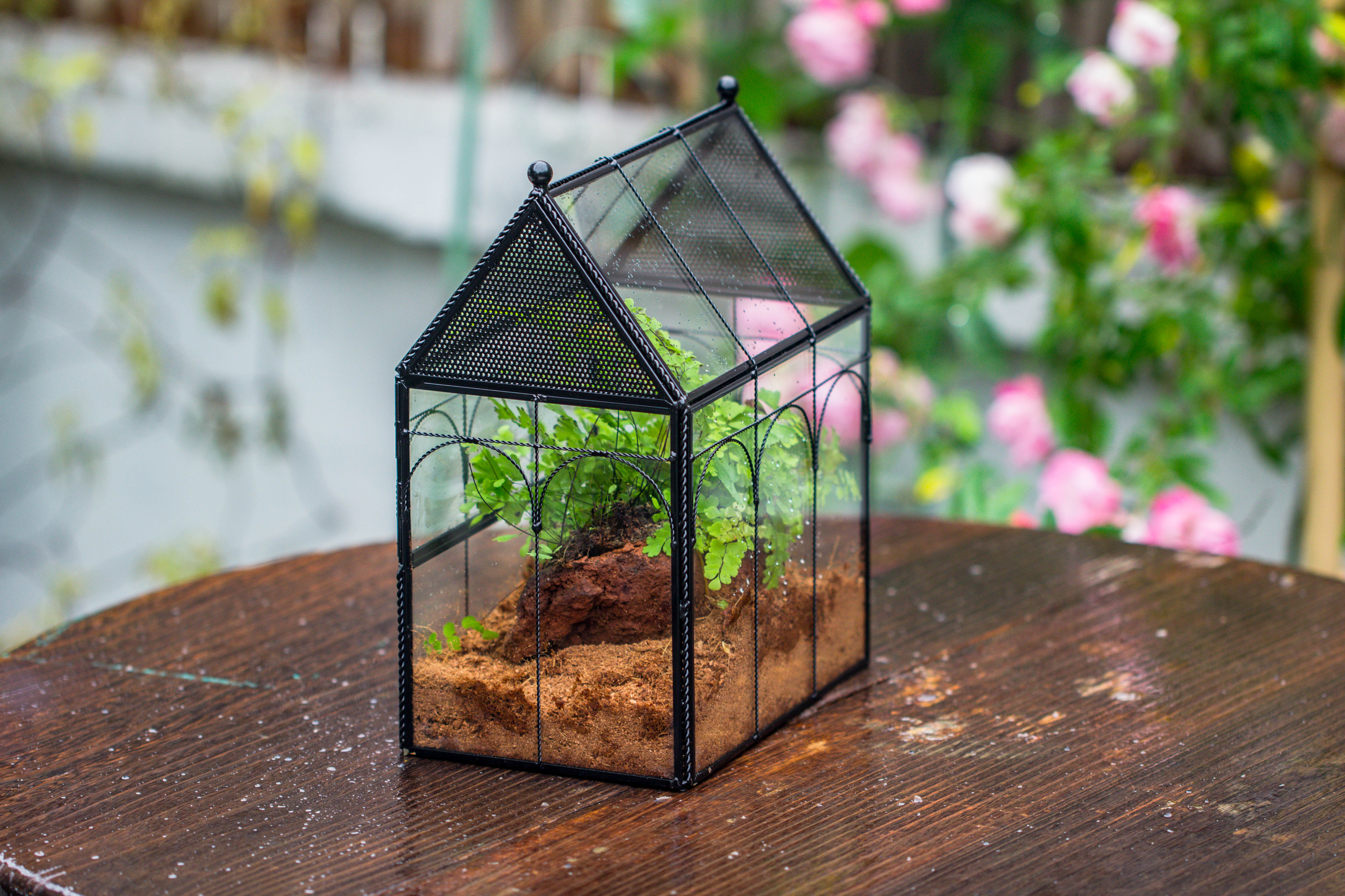 Handmade Twisted Wire House Shape Glass Geometric Terrarium with LED Light Set, Snail Jumping Spider Enclosure, Insect Container Set - NCYPgarden