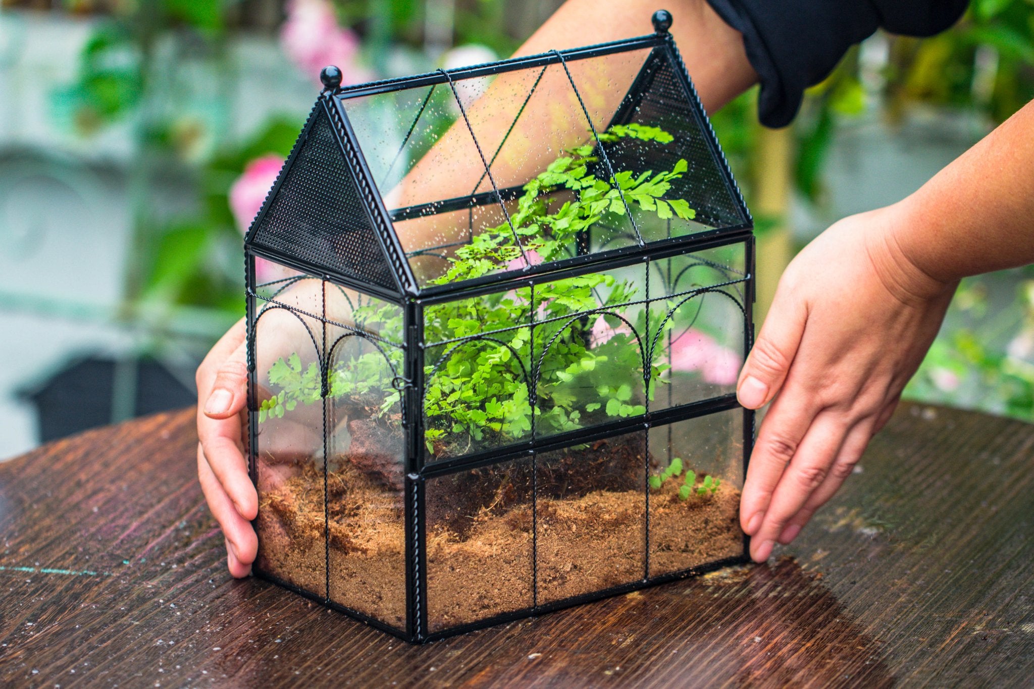NCYP Vintage House Shape Tin and Glass Geometric Terrarium, with side door, with Mesh / vent holes for small Insects Pet - NCYPgarden