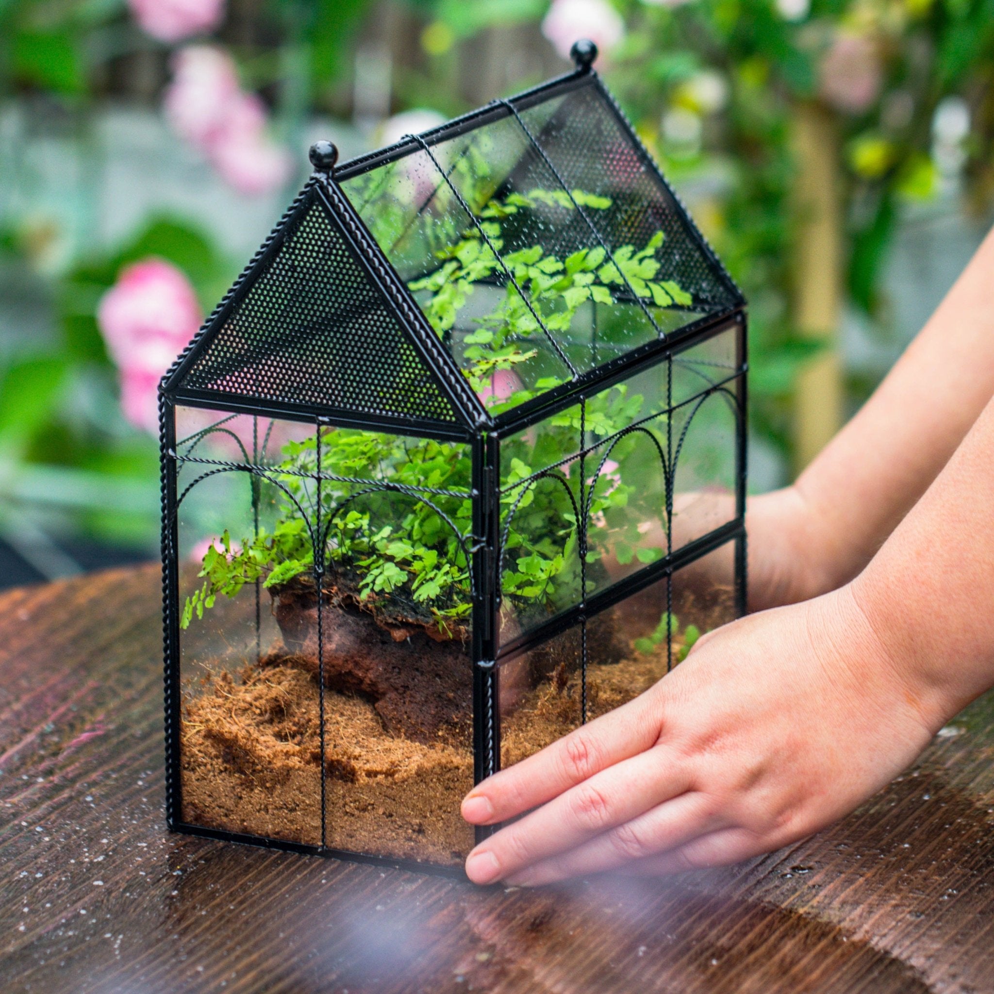 NCYP Vintage House Shape Tin and Glass Geometric Terrarium, with side door, with Mesh / vent holes for small Insects Pet - NCYPgarden