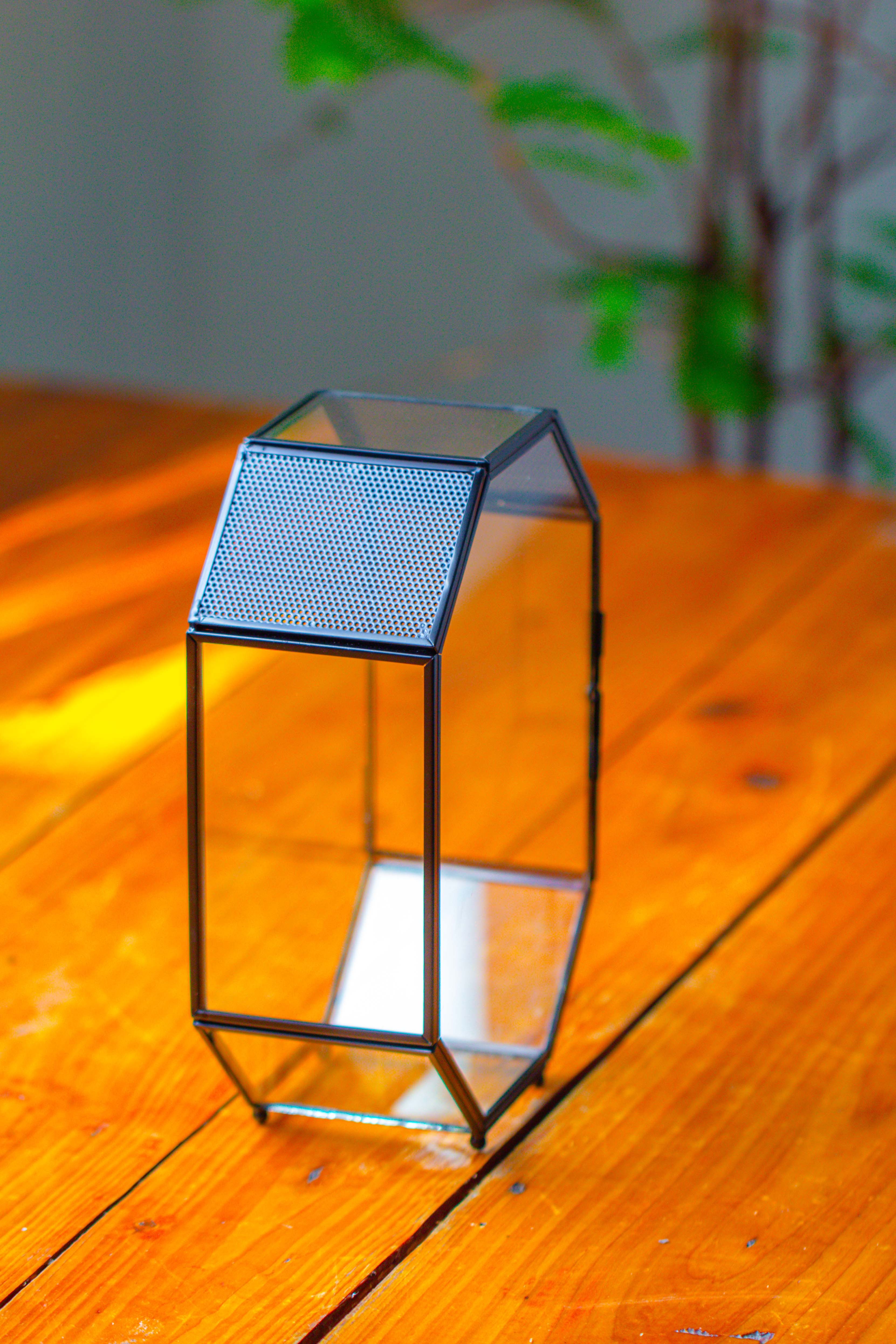 NCYP Octagon 6x8 inches Geometric Terrarium with vents for small insects - NCYPgarden