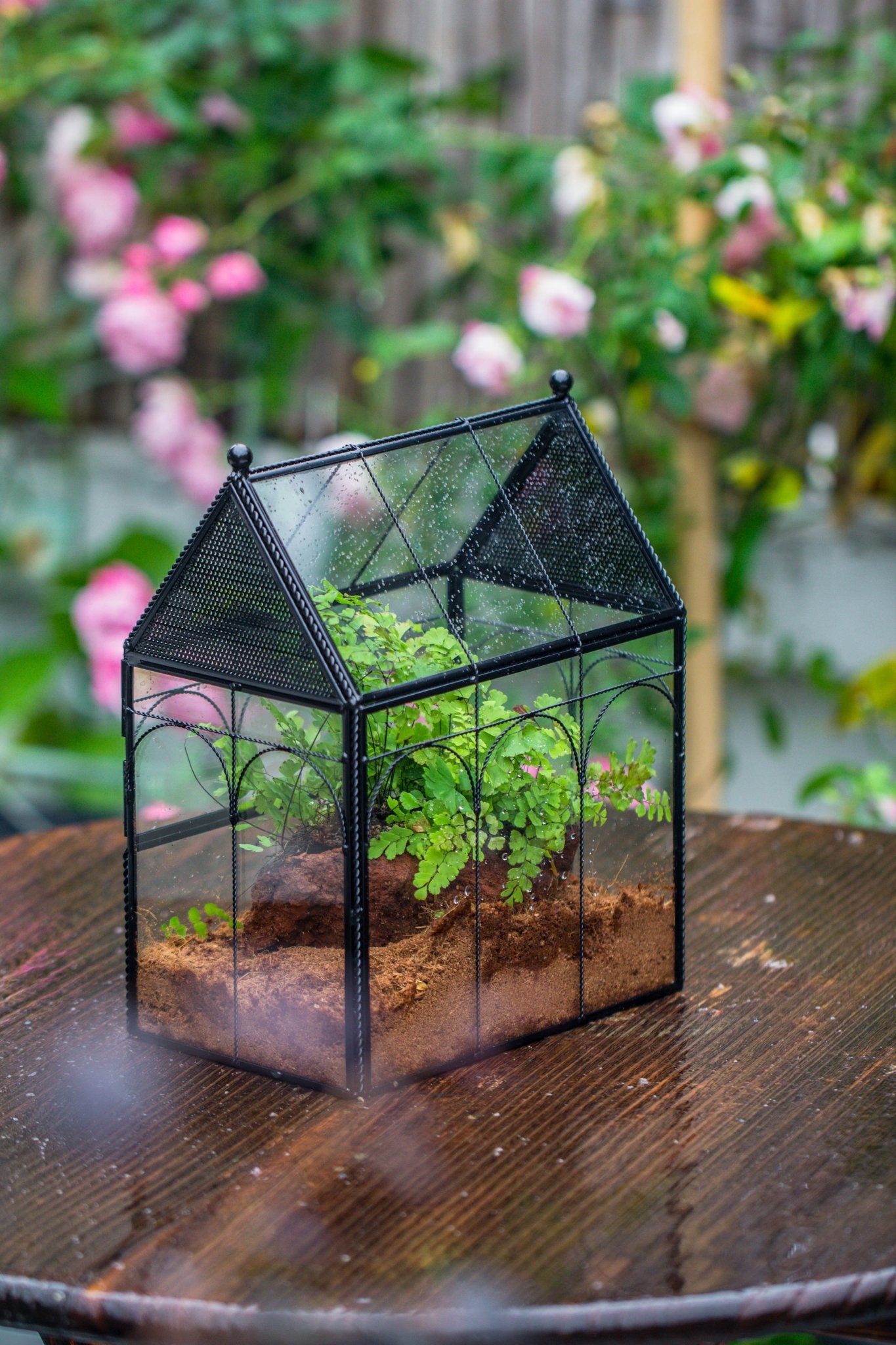 NCYP Vintage House Shape Tin and Glass Geometric Terrarium, with side door, with Mesh / vent holes for small Insects Pet - NCYPgarden