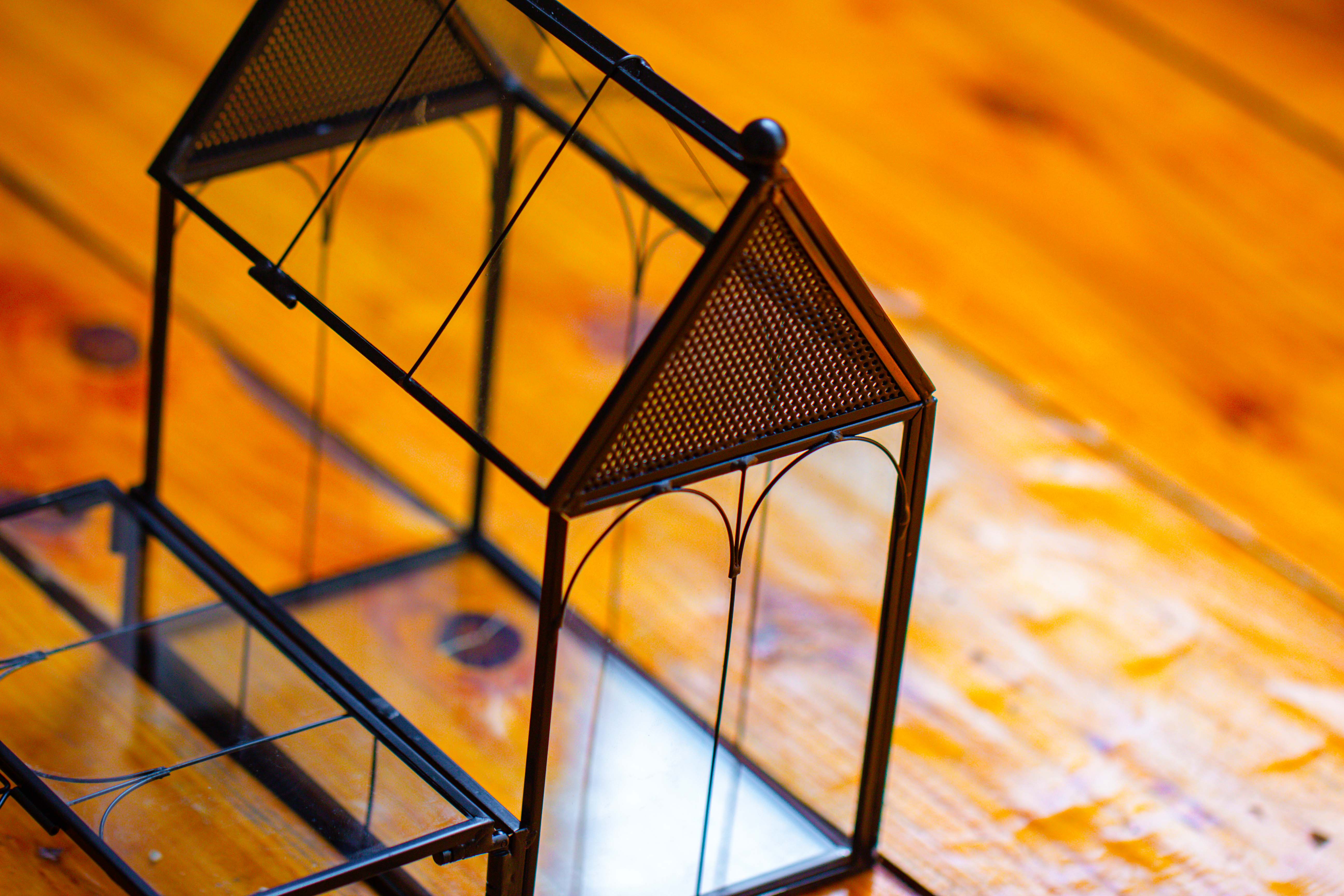 Vintage Mini House Shape Glass Geometric Terrarium for Jumping spider - NCYPgarden