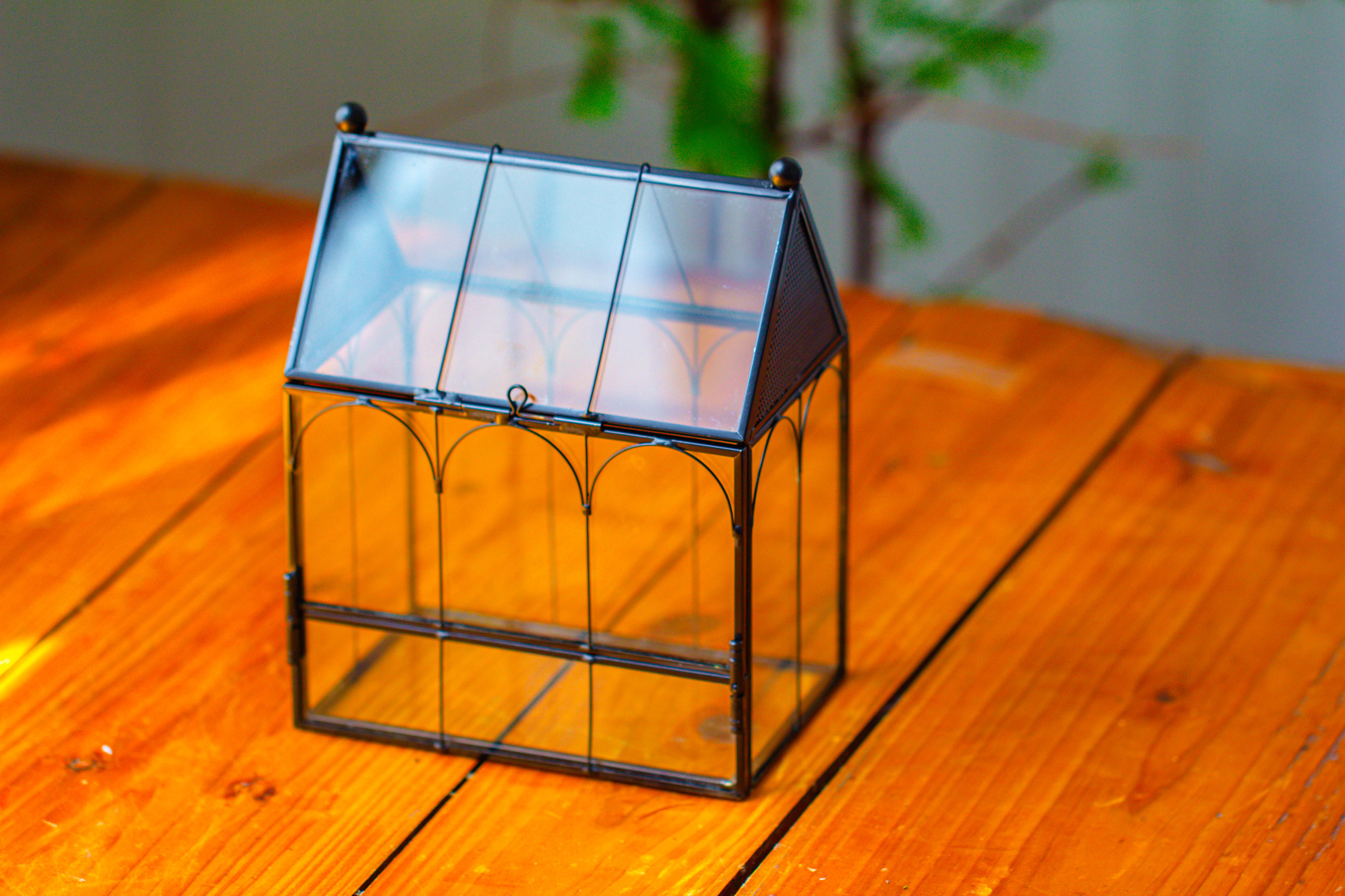 Vintage Mini House Shape Glass Geometric Terrarium for Jumping spider - NCYPgarden