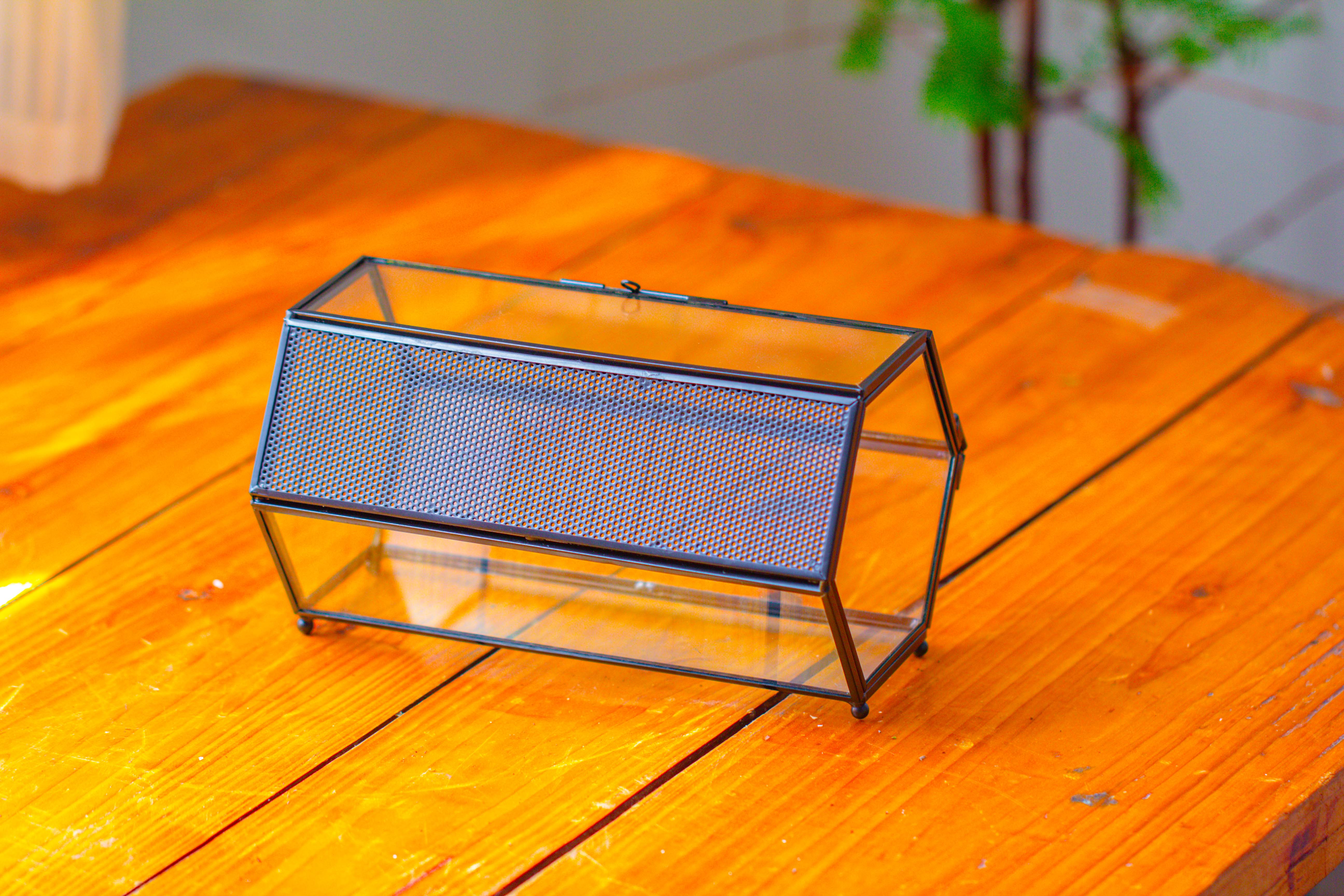 NCYP Long Hexagon Mimi  Geometric Terrarium for Spiders and small Insects - NCYPgarden