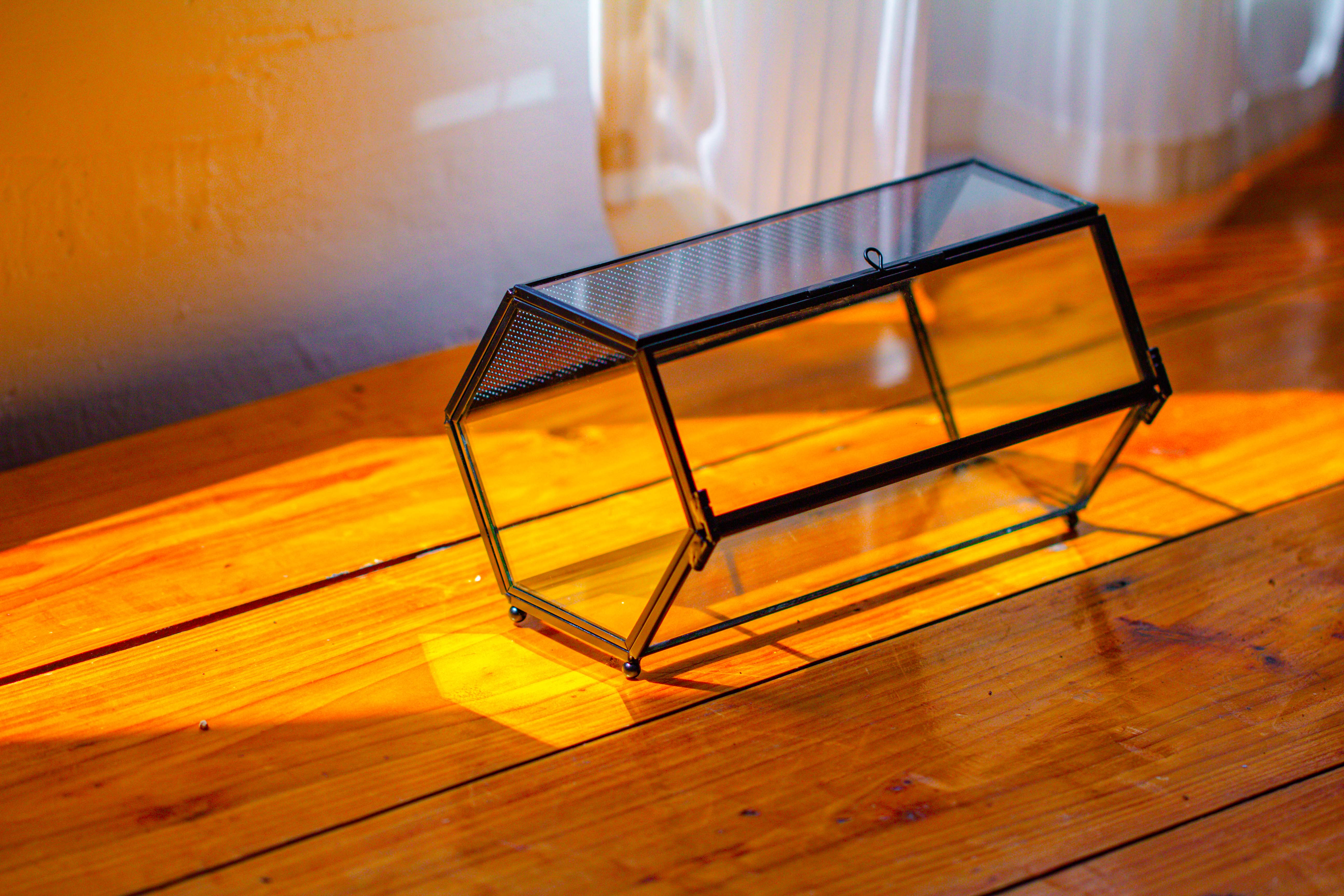 NCYP Long Hexagon Mimi  Geometric Terrarium for Spiders and small Insects - NCYPgarden