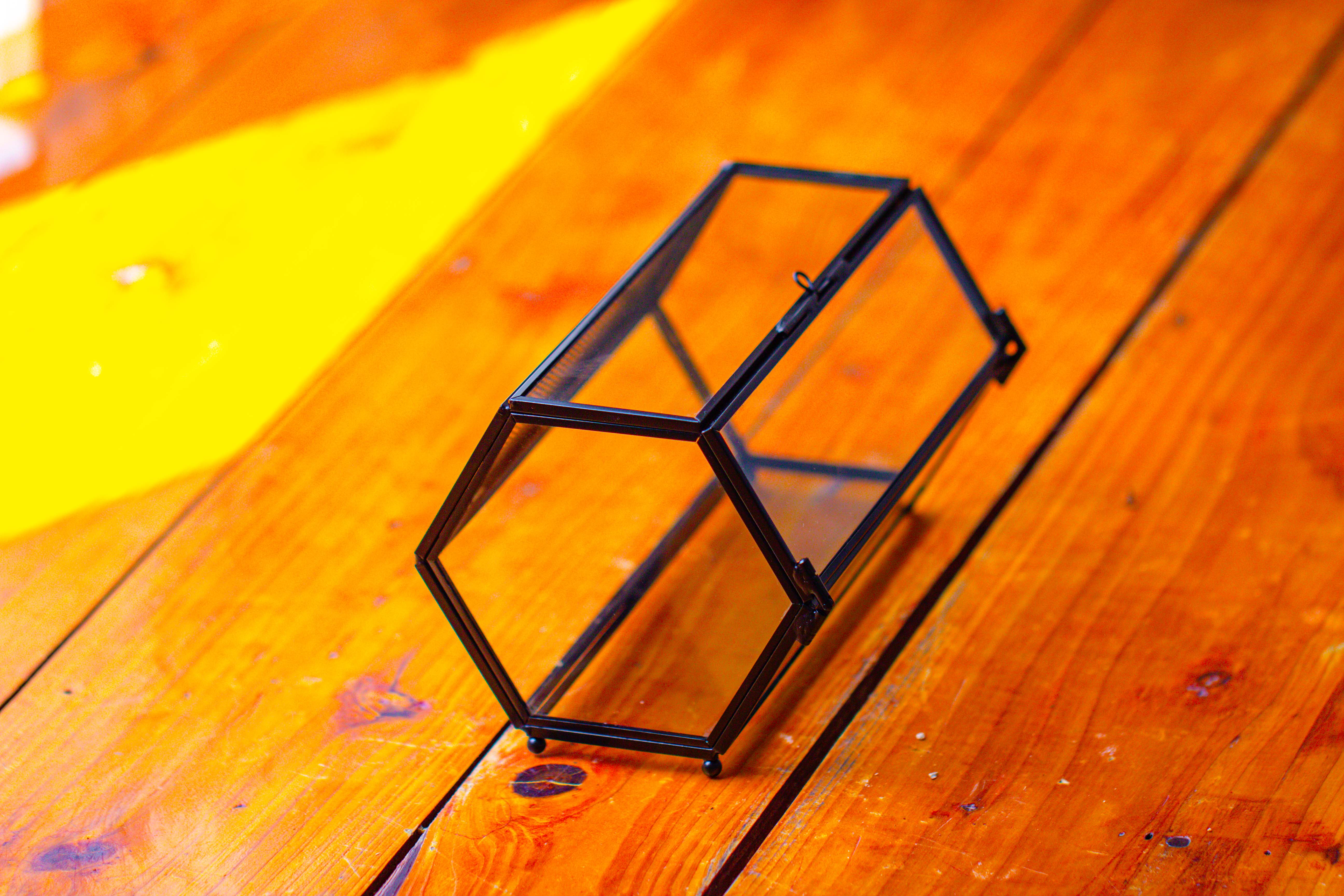 NCYP Long Hexagon Mimi  Geometric Terrarium for Spiders and small Insects - NCYPgarden
