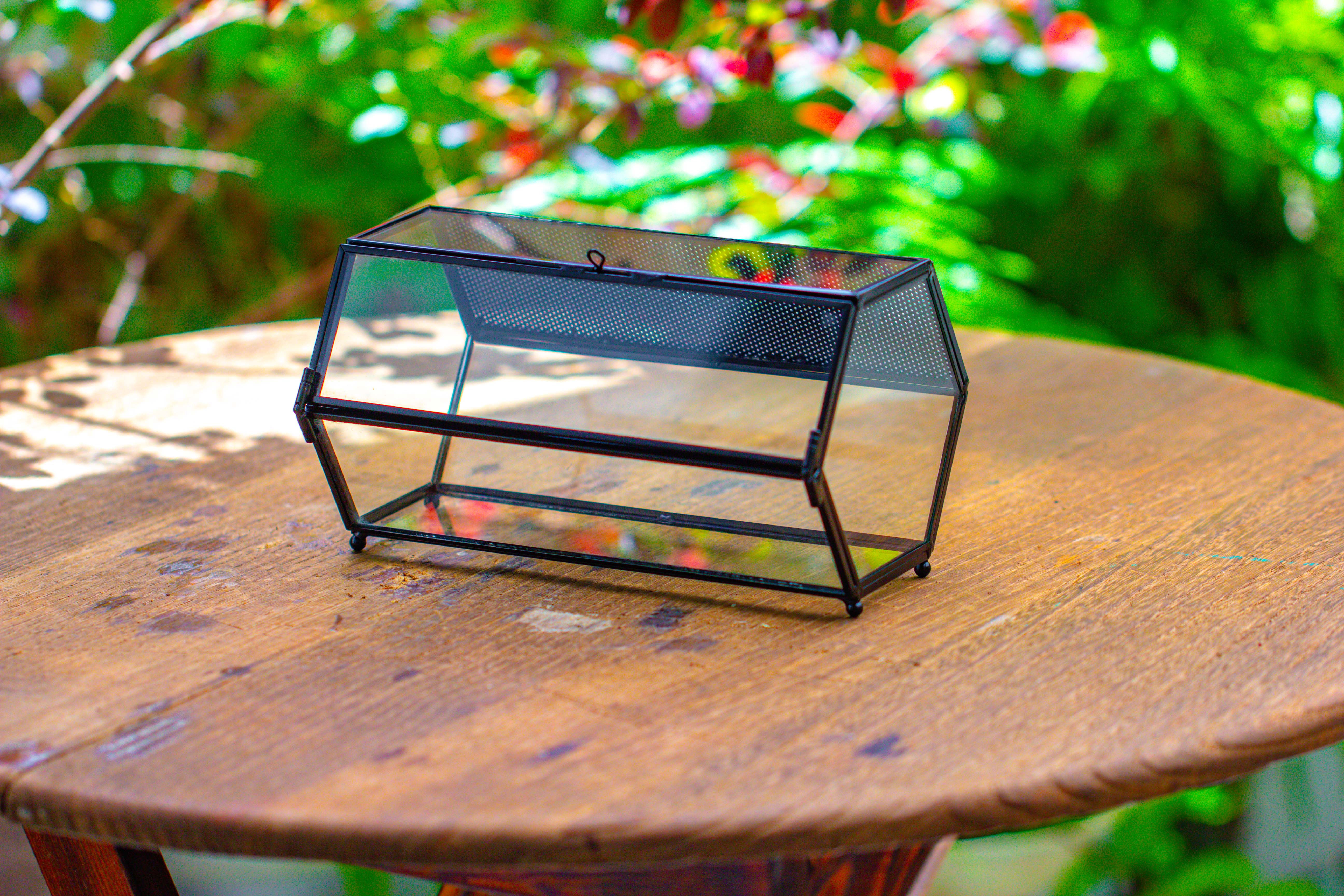 NCYP Long Hexagon Mimi  Geometric Terrarium for Spiders and small Insects - NCYPgarden