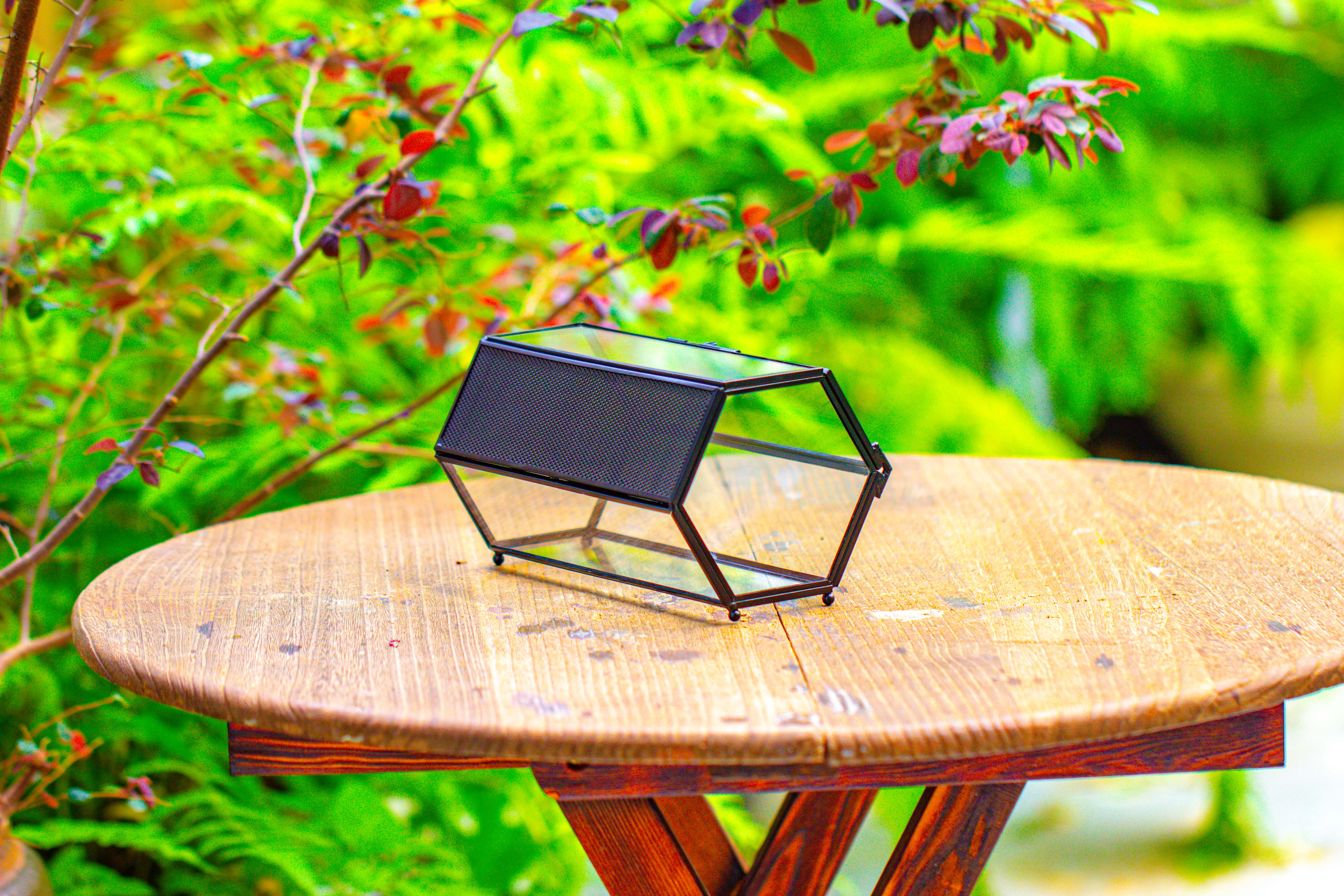 NCYP Long Hexagon Mimi  Geometric Terrarium for Spiders and small Insects - NCYPgarden