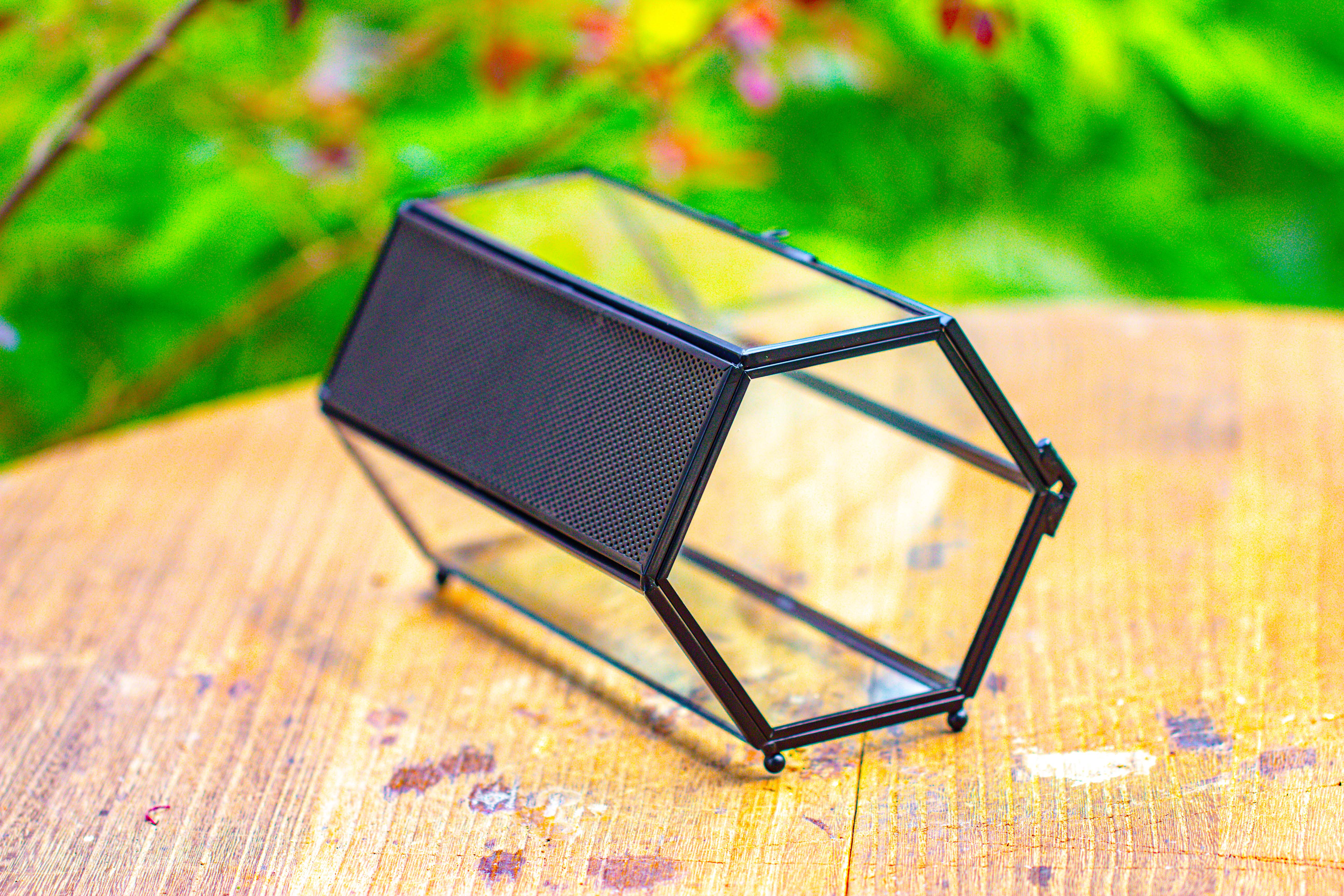 NCYP Long Hexagon Mimi  Geometric Terrarium for Spiders and small Insects - NCYPgarden