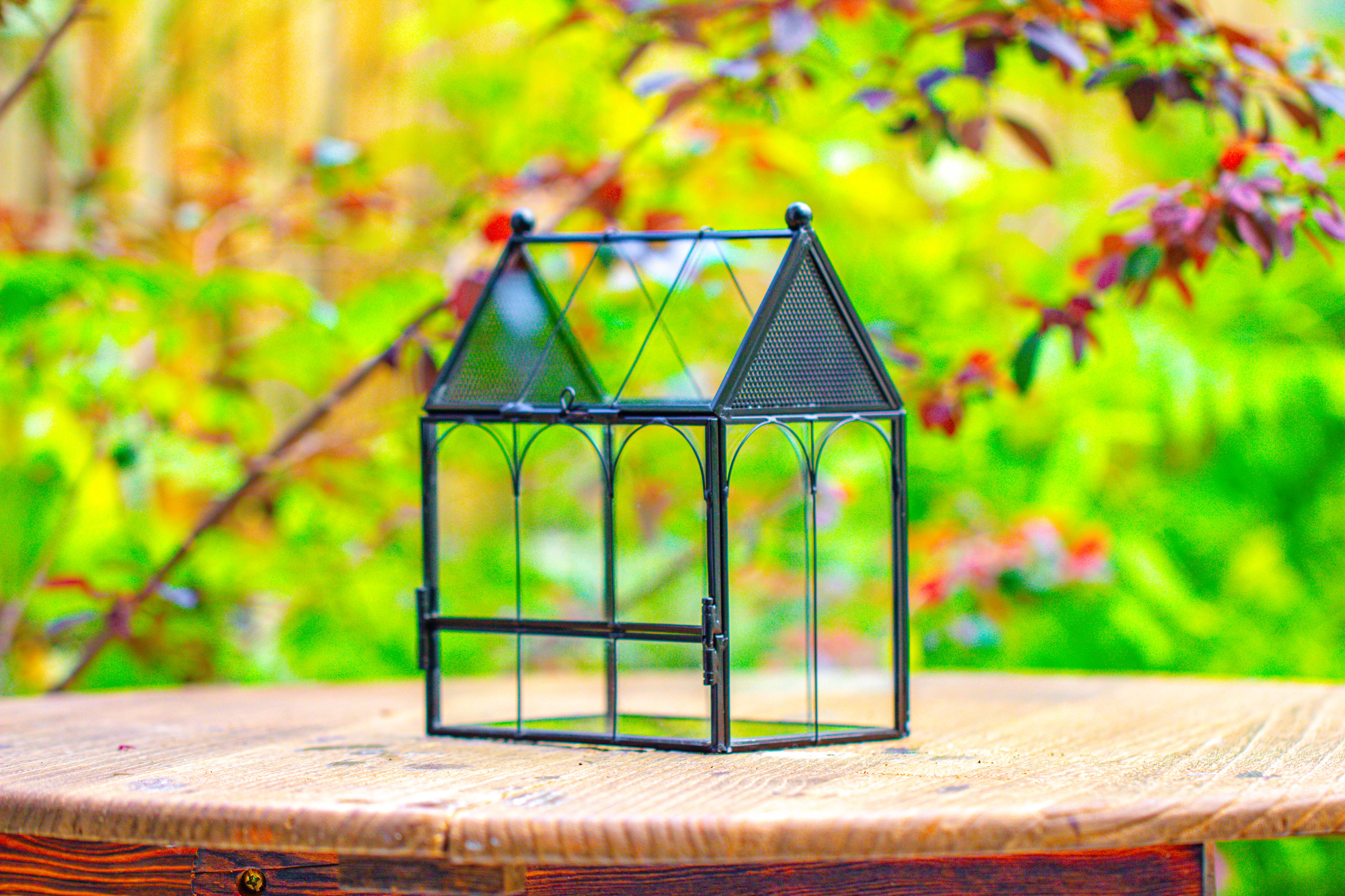 Vintage Mini House Shape Glass Geometric Terrarium for Jumping spider - NCYPgarden