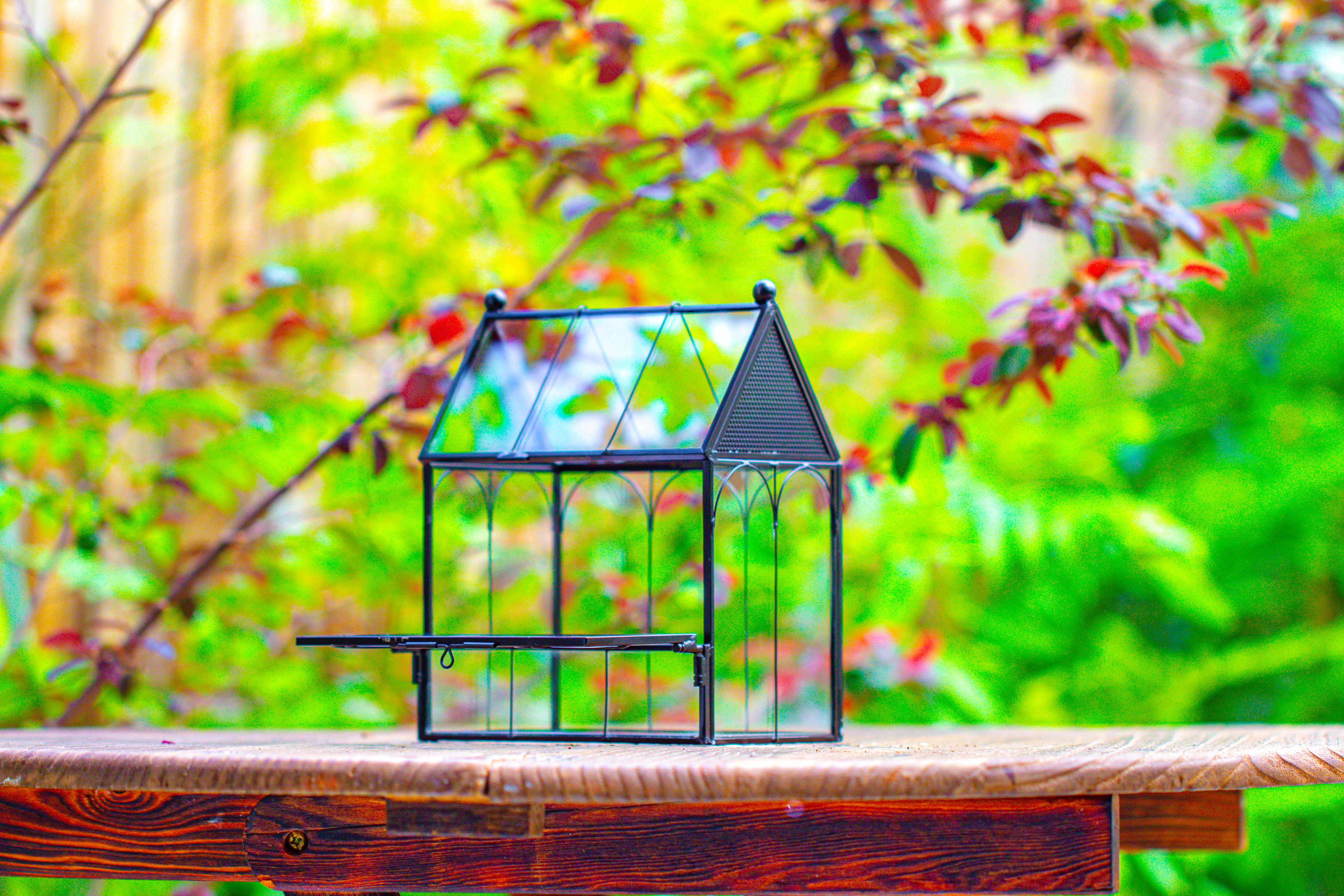 Vintage Mini House Shape Glass Geometric Terrarium for Jumping spider - NCYPgarden