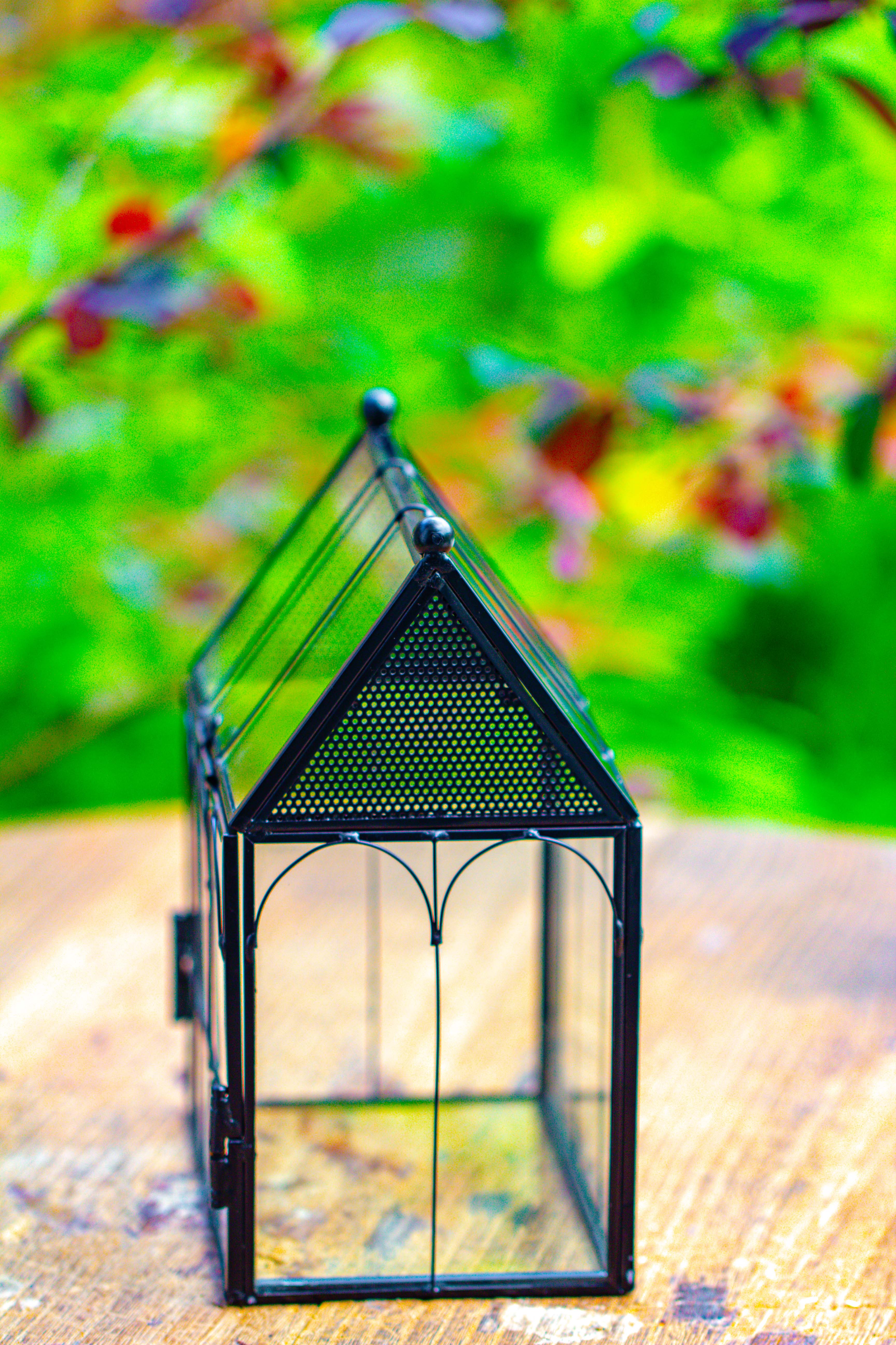 Vintage Mini House Shape Glass Geometric Terrarium for Jumping spider - NCYPgarden