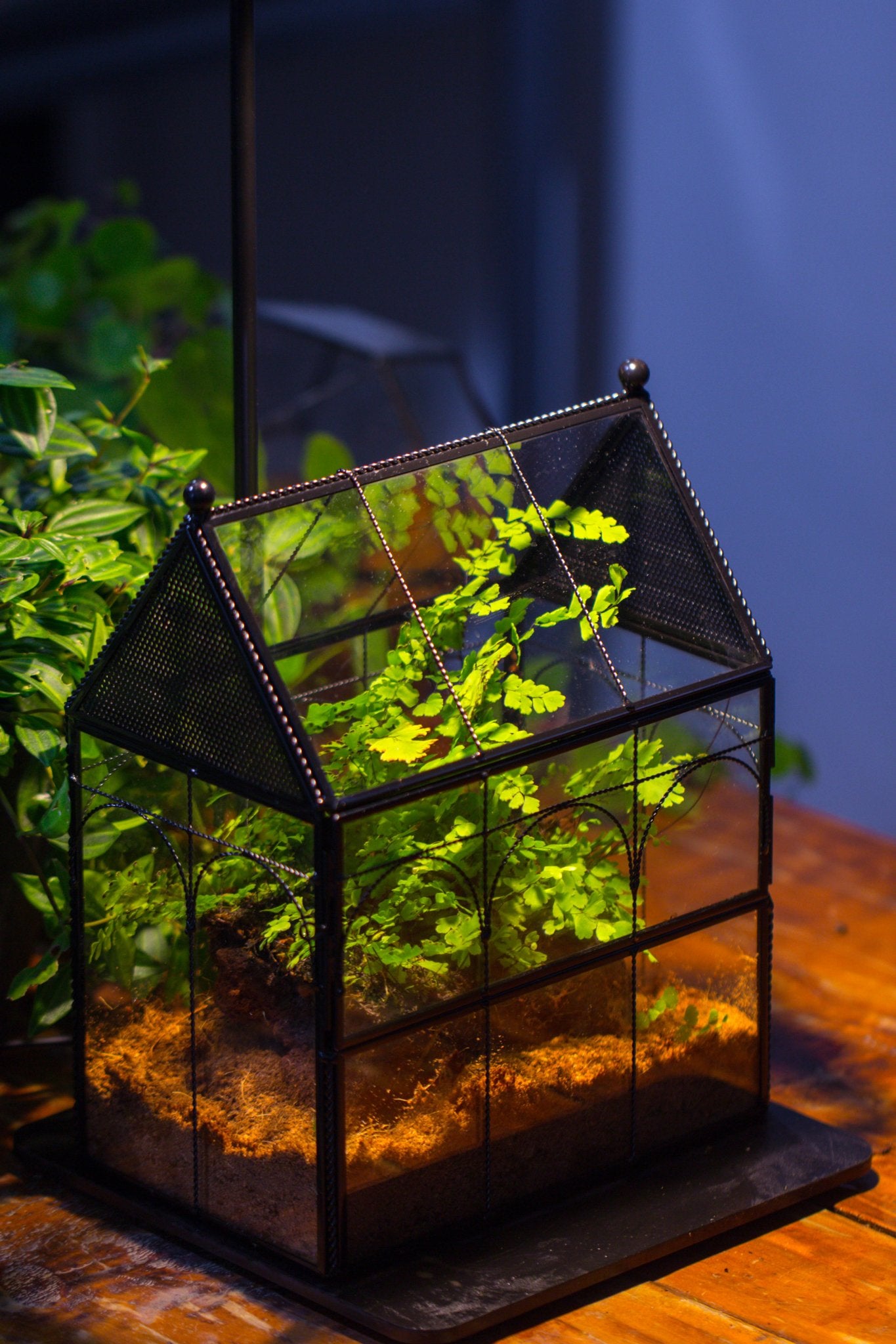 NCYP Vintage House Shape Tin and Glass Geometric Terrarium, with side door, with Mesh / vent holes for small Insects Pet - NCYPgarden
