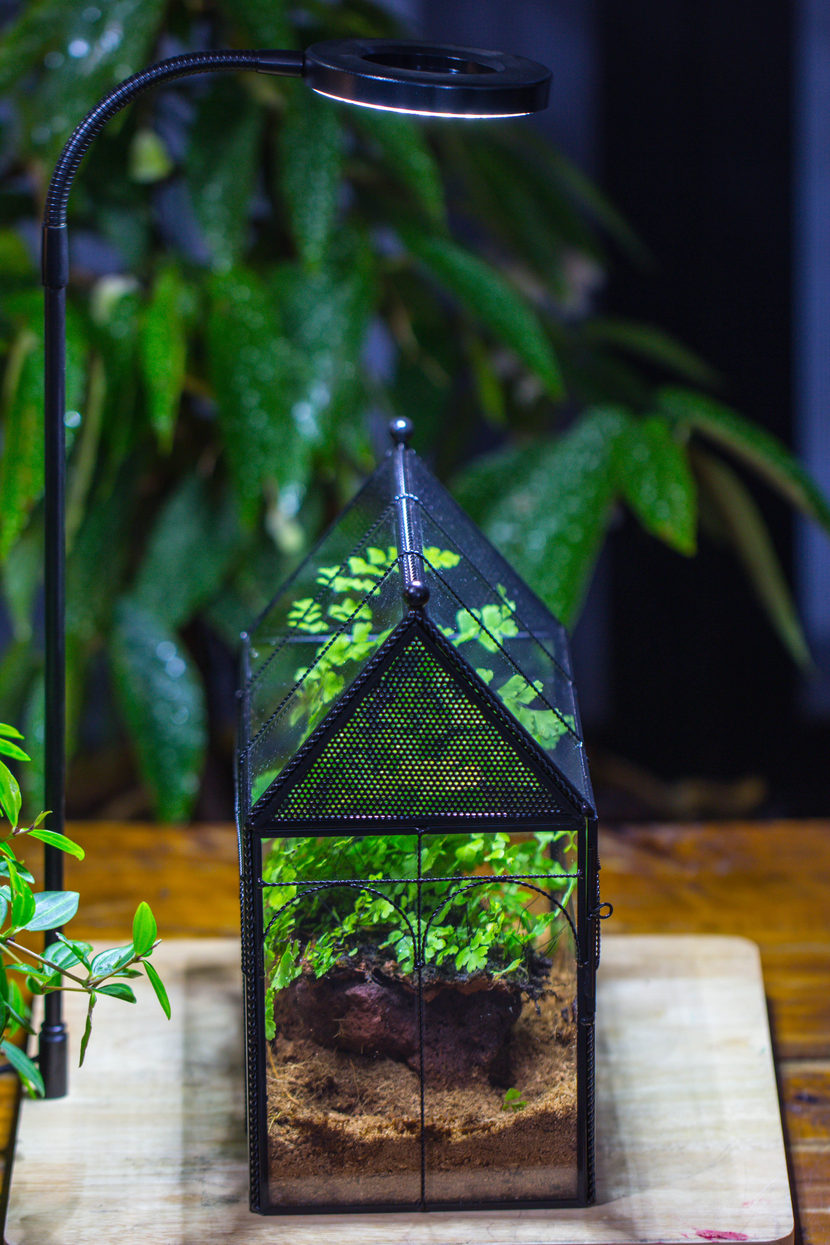 Handmade Twisted Wire House Shape Glass Geometric Terrarium with LED Light Set, Snail Jumping Spider Enclosure, Insect Container Set - NCYPgarden