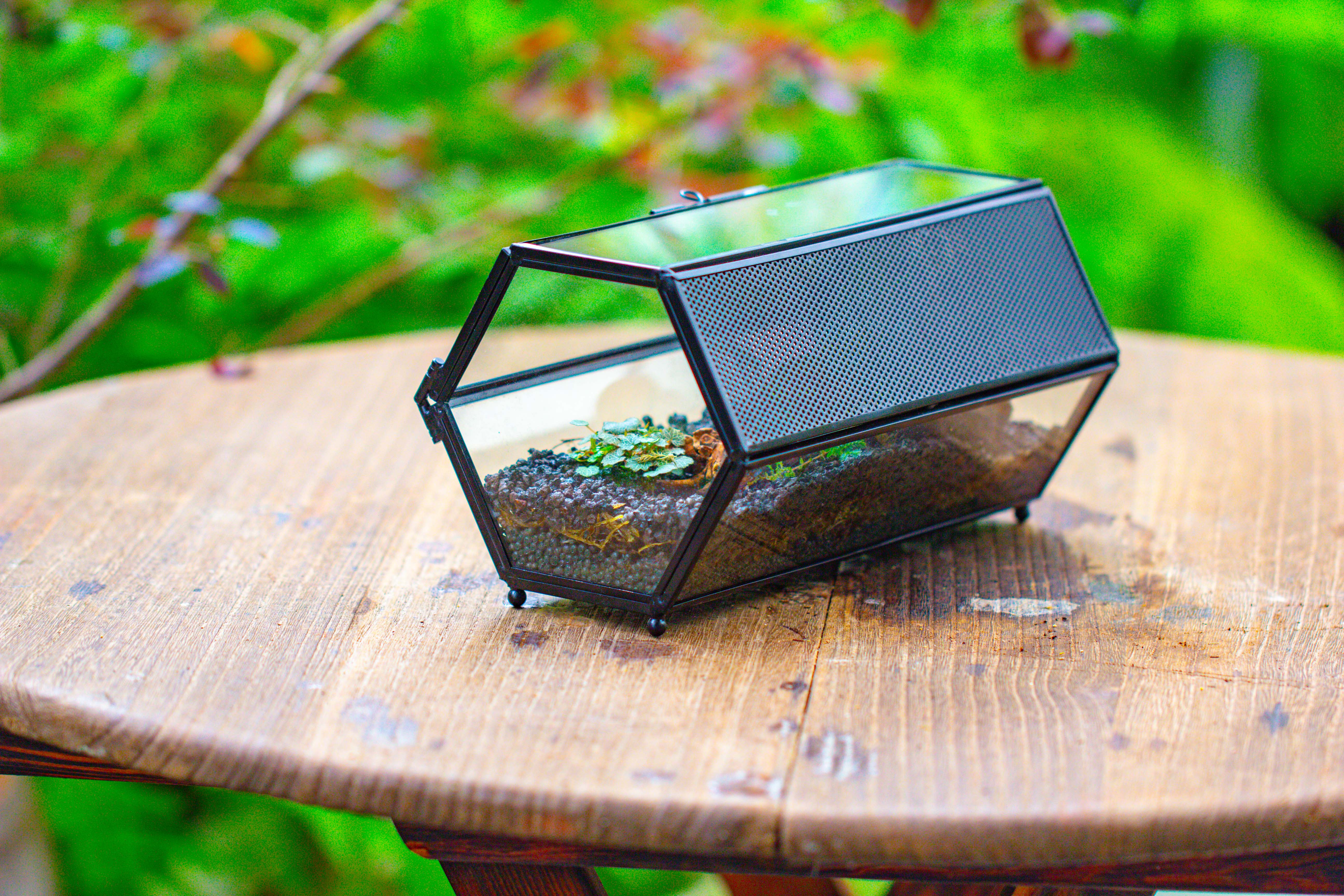 NCYP Long Hexagon Mimi  Geometric Terrarium for Spiders and small Insects - NCYPgarden