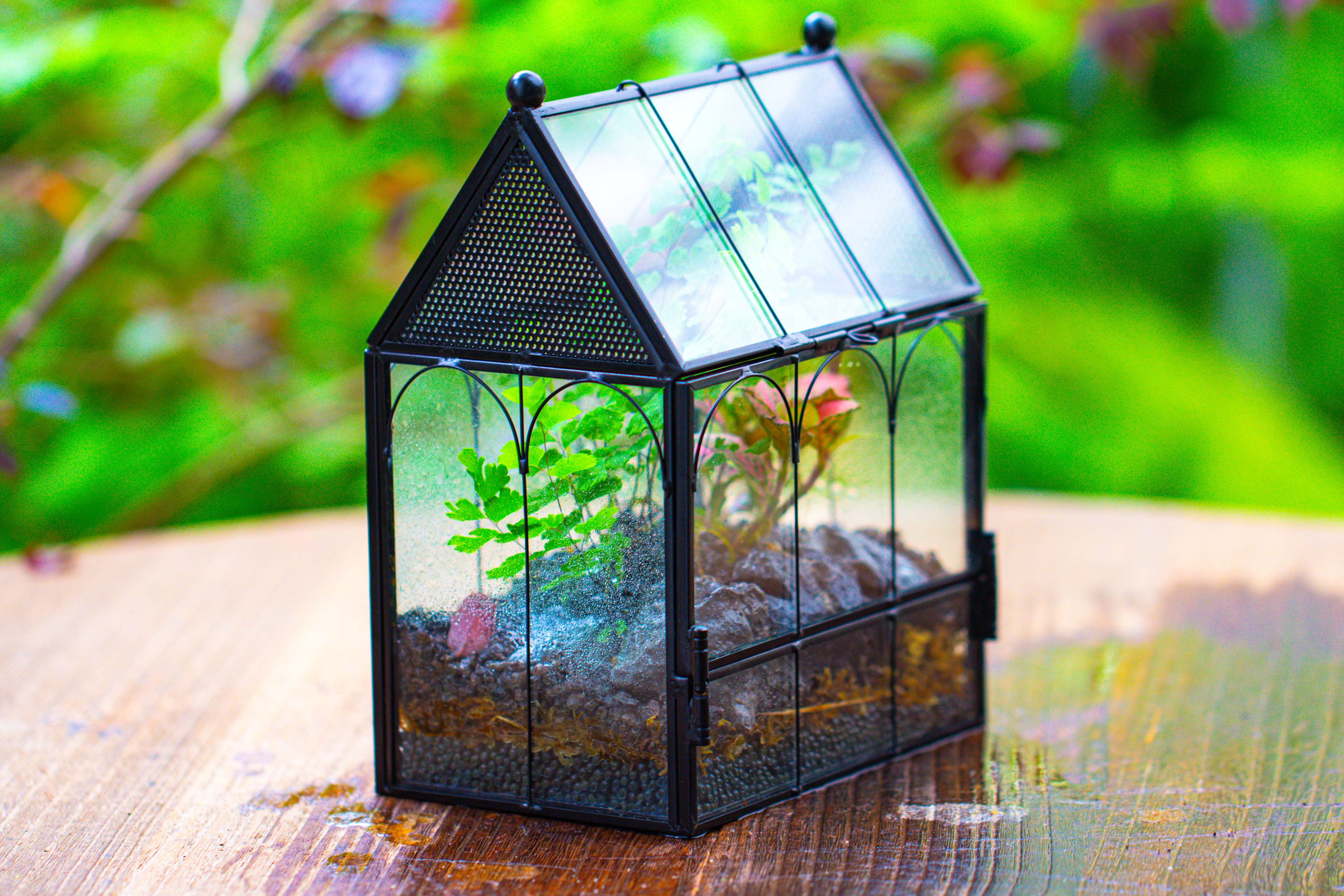 Vintage Mini House Shape Glass Geometric Terrarium for Jumping spider - NCYPgarden