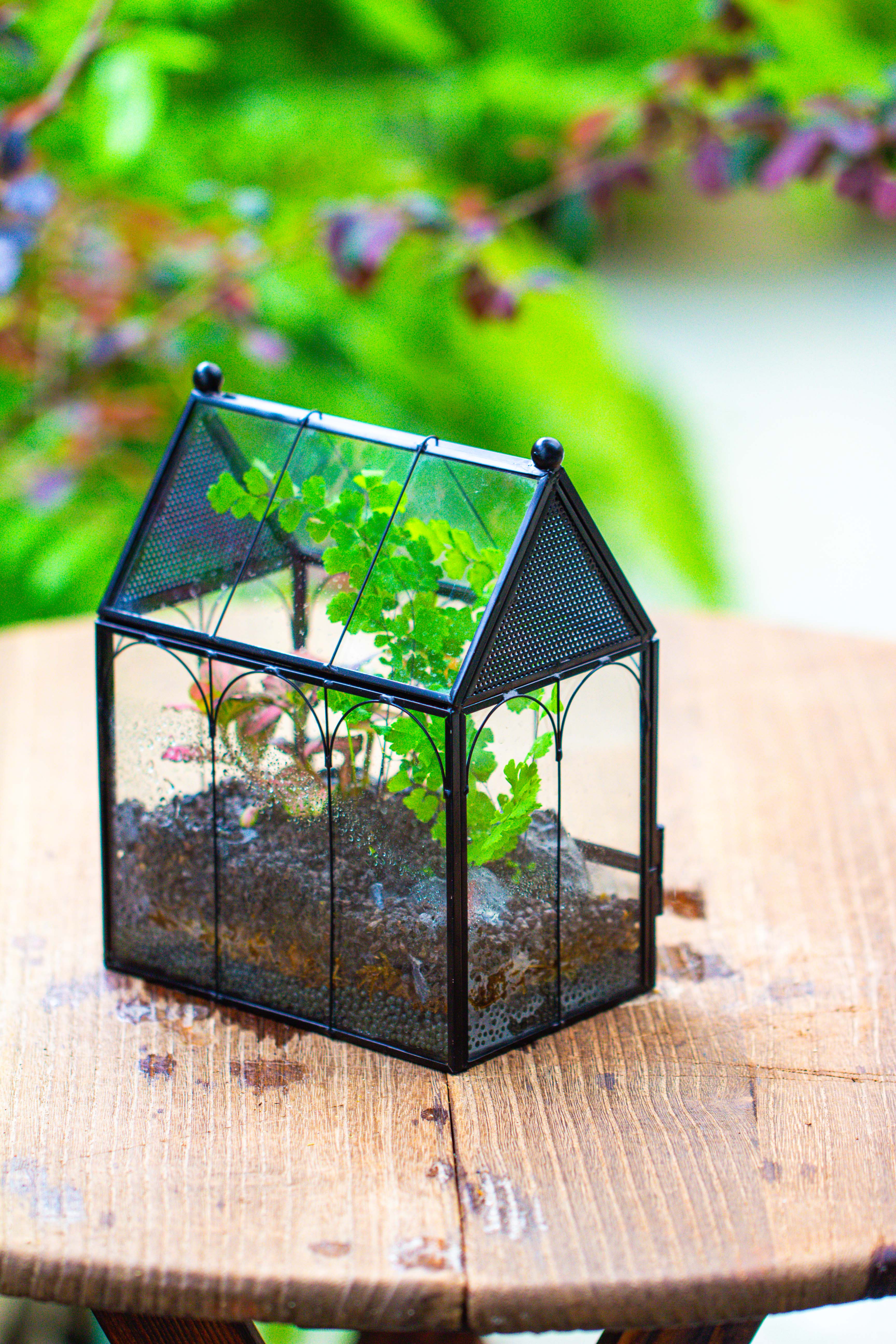Vintage Mini House Shape Glass Geometric Terrarium for Jumping spider - NCYPgarden