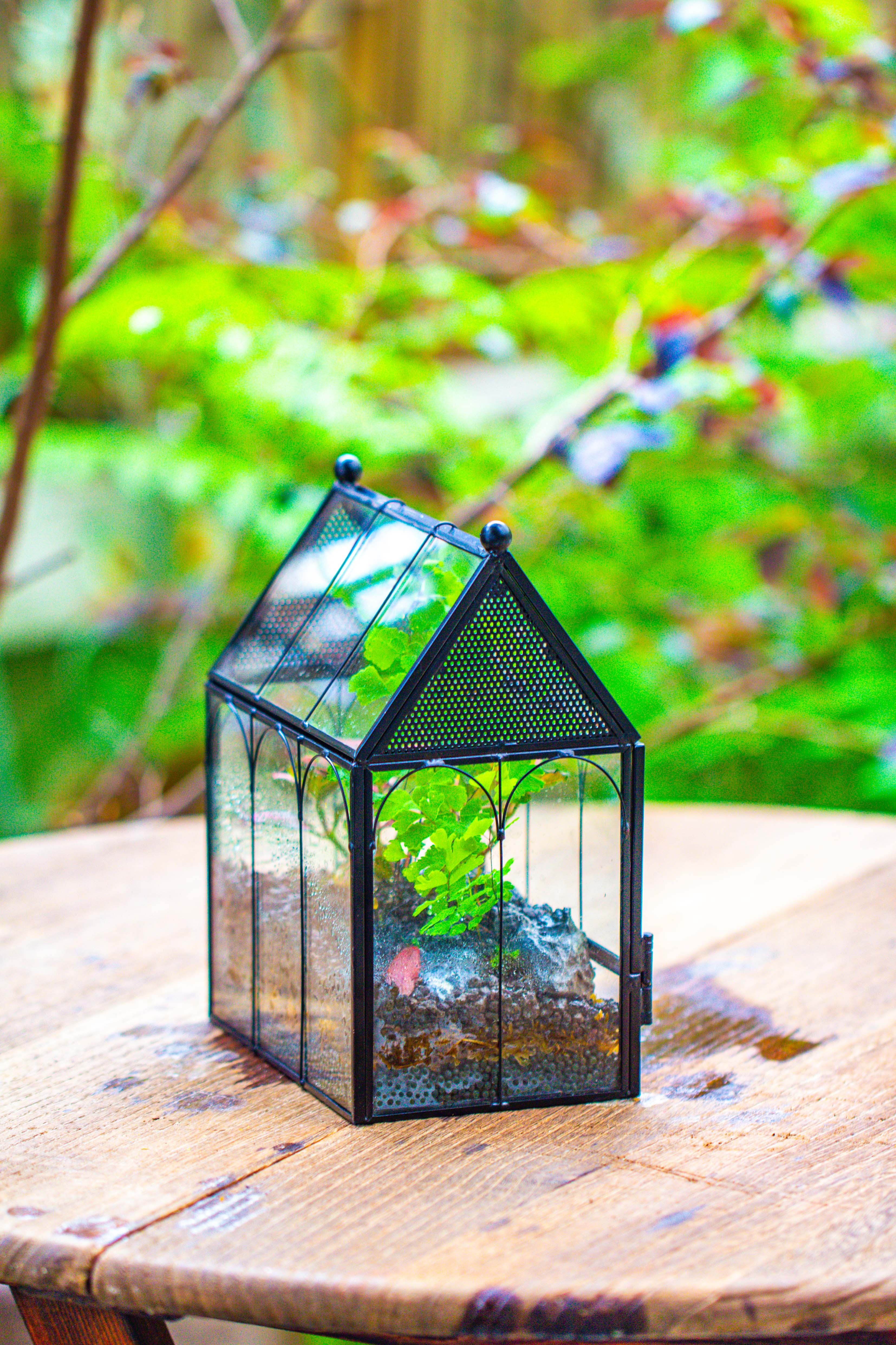 Vintage Mini House Shape Glass Geometric Terrarium for Jumping spider - NCYPgarden